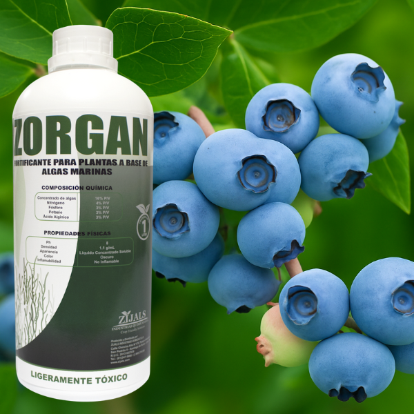 Zorgan