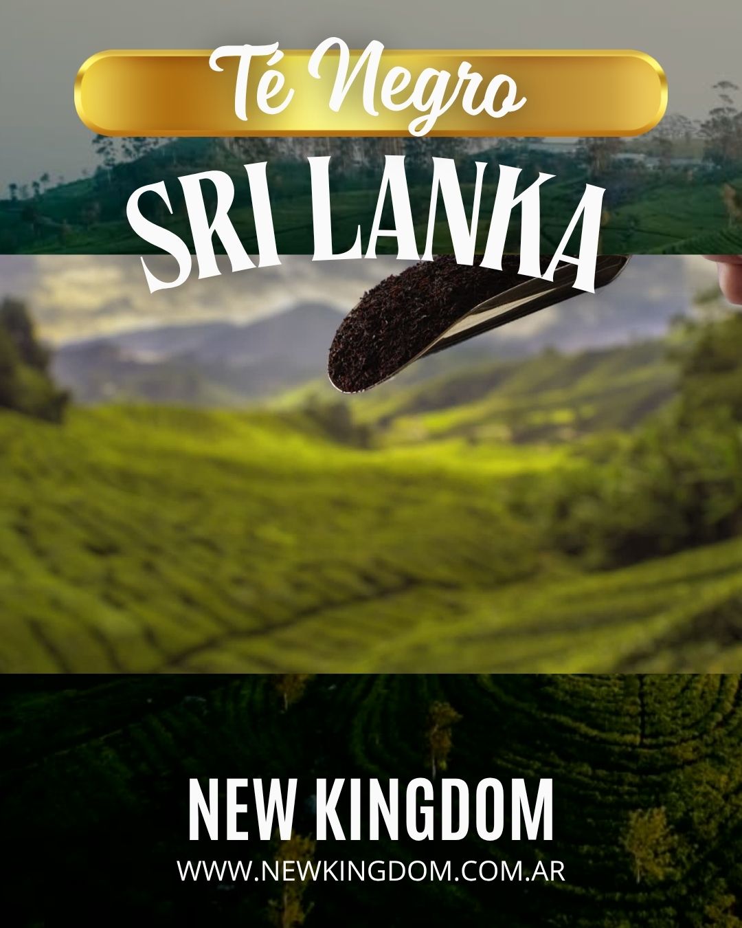 TE NEGRO SRI LANKA