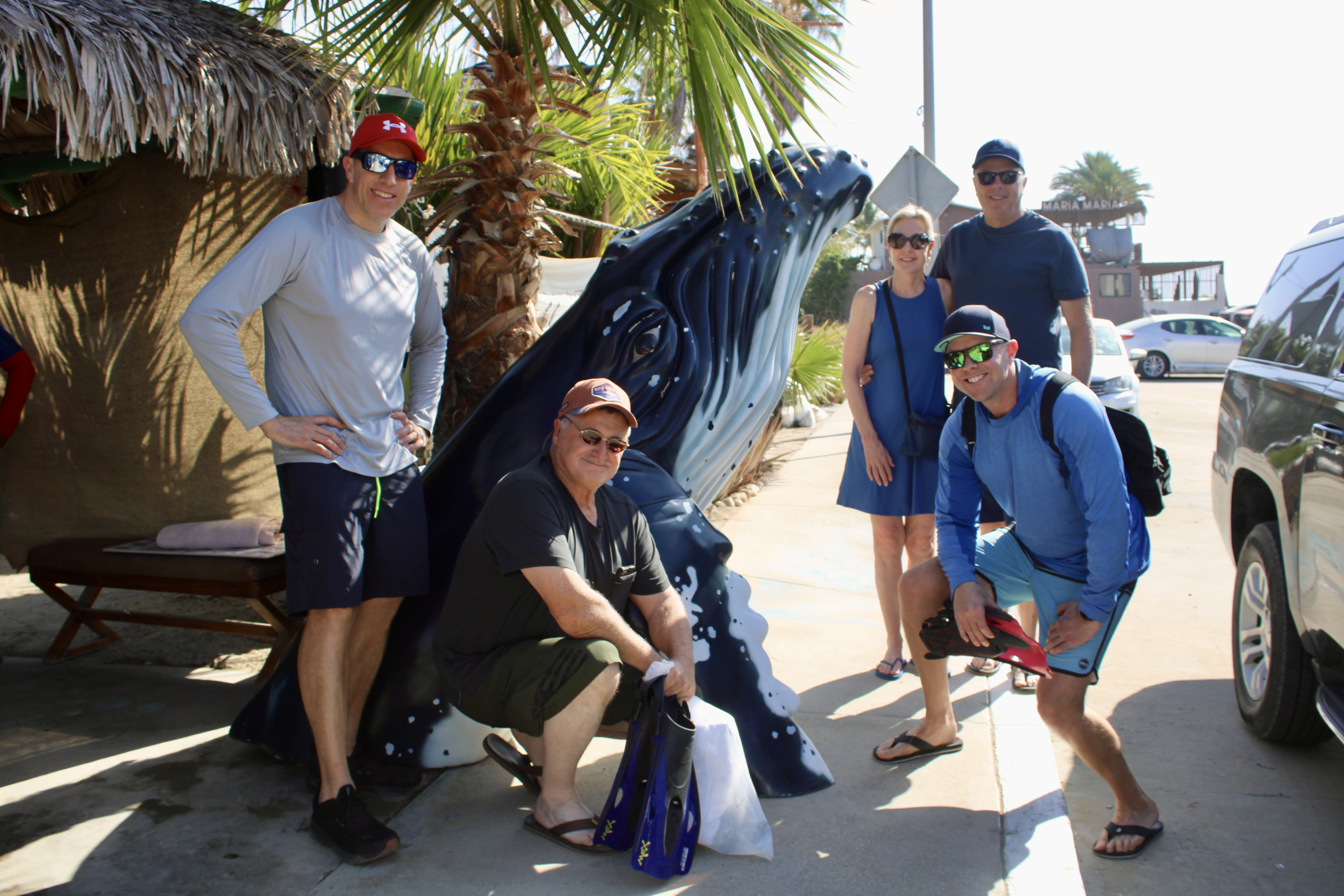 snorkeling sea of Cortez