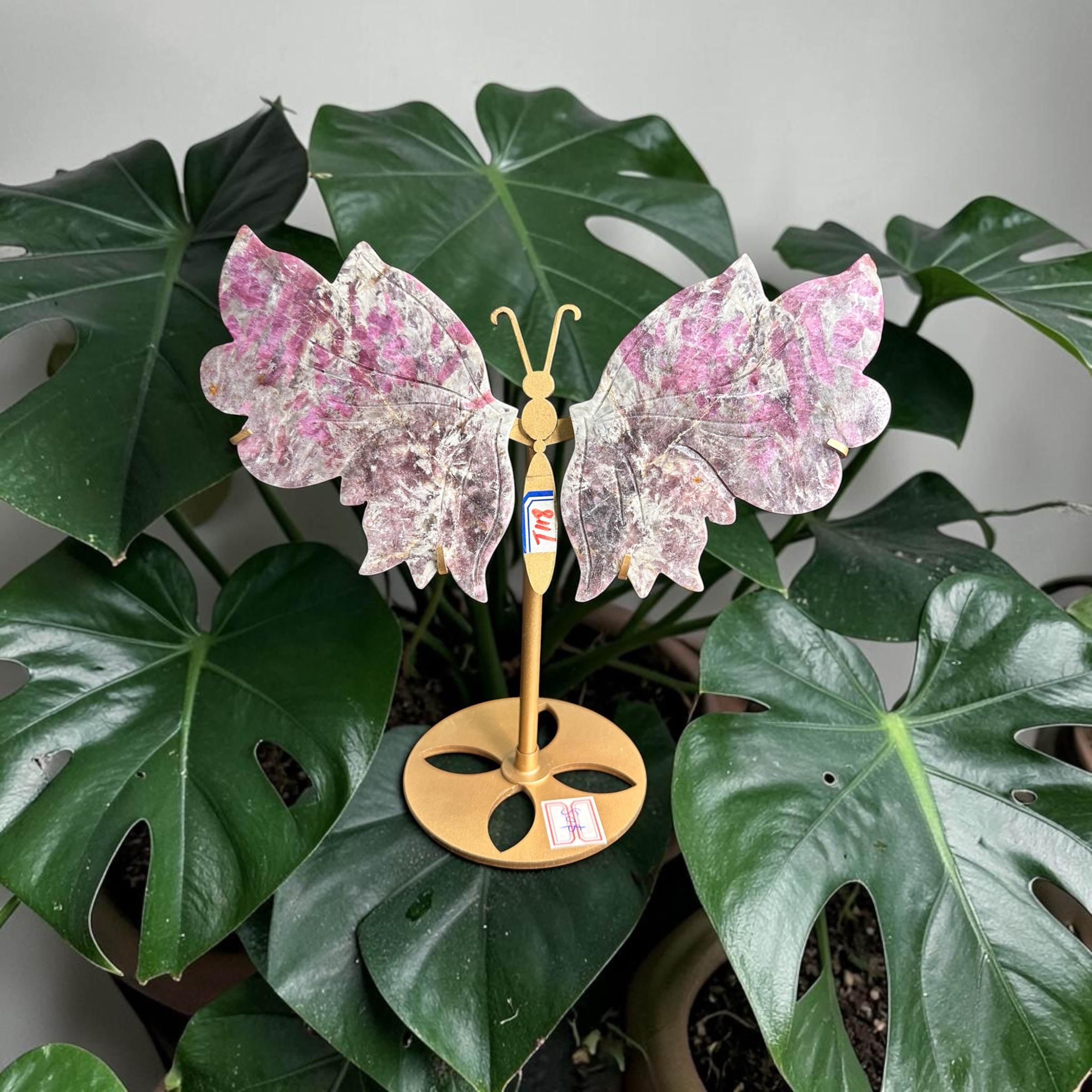 Pink Tourmaline Wings 