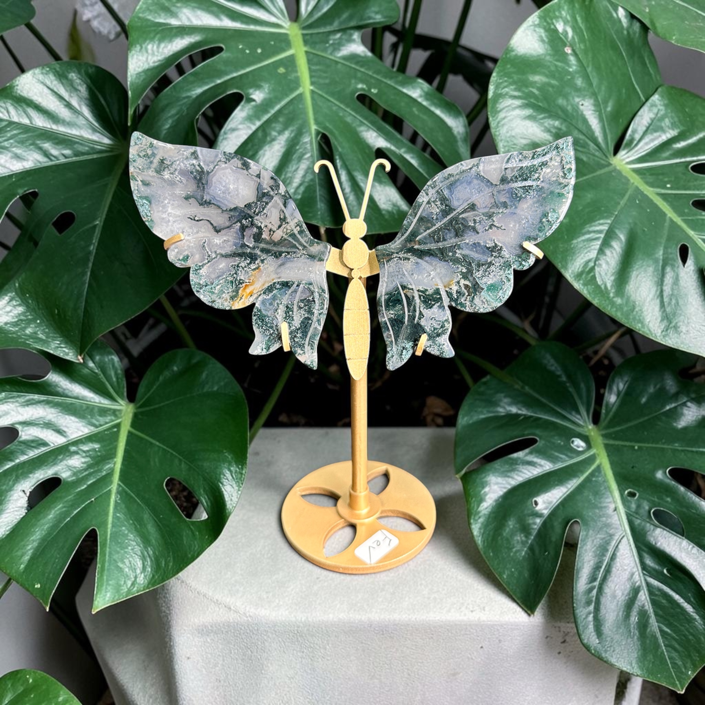 Moss Agate Wings (Small)
