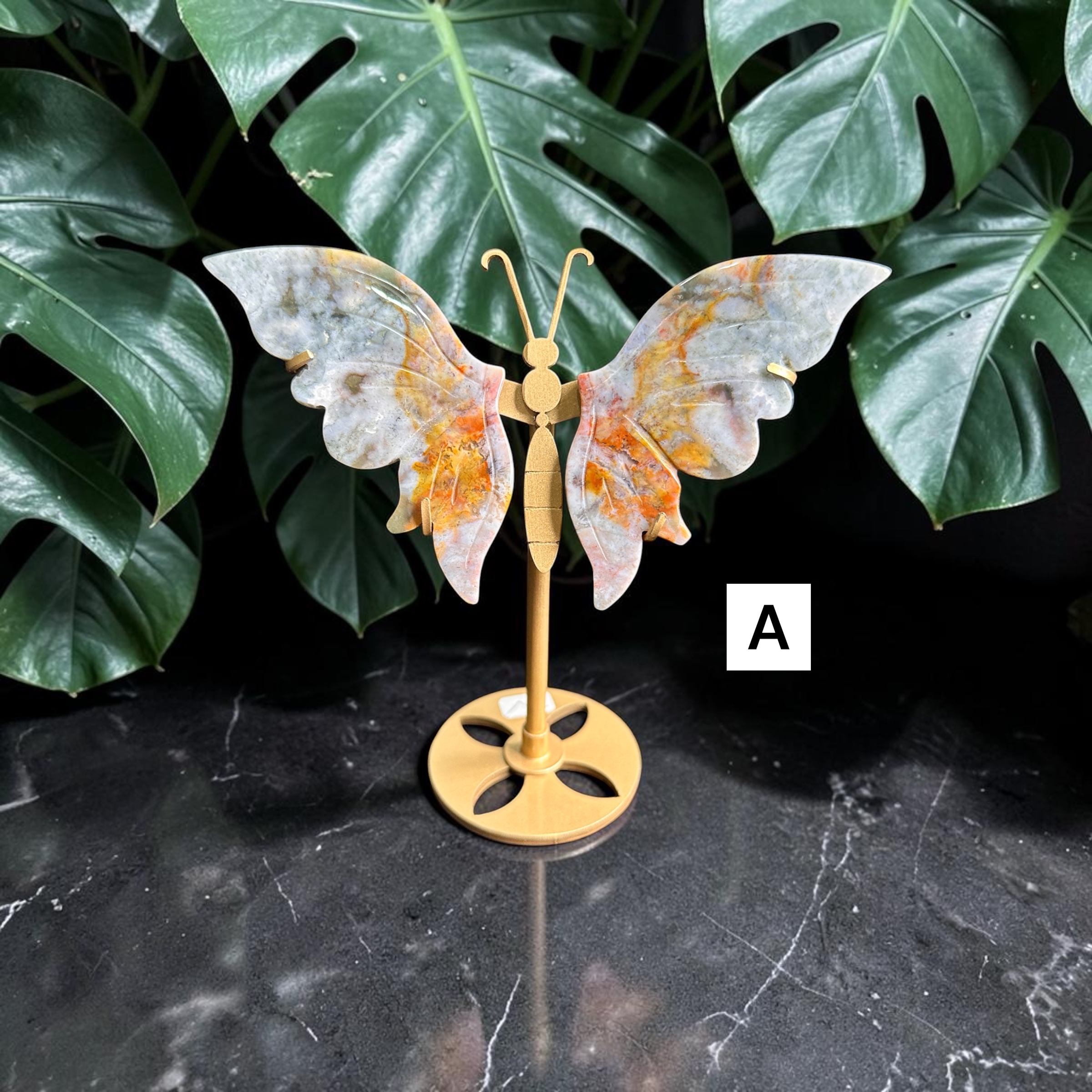 Ocean Jasper Wings