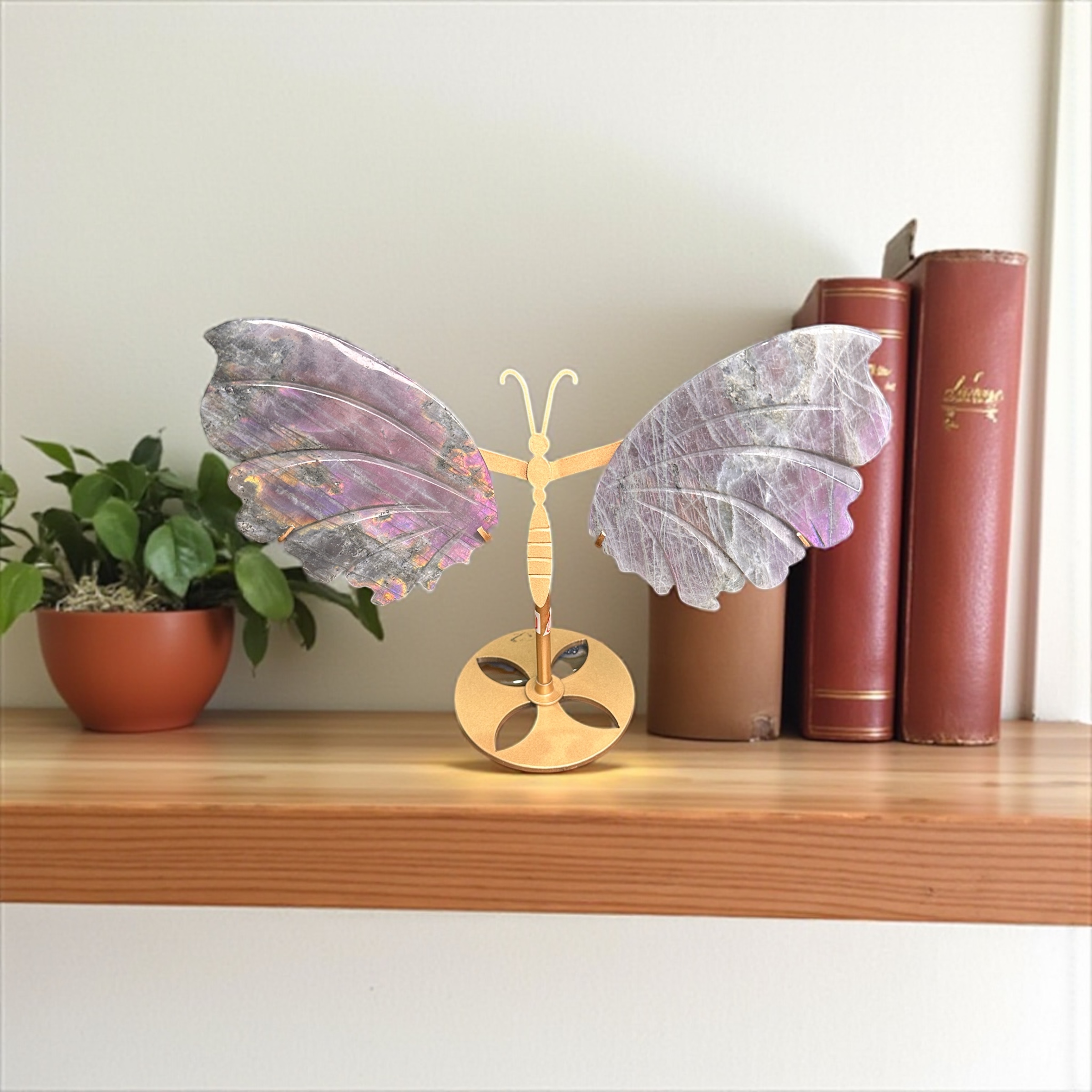 Purple/Pink Labradorite Wings 