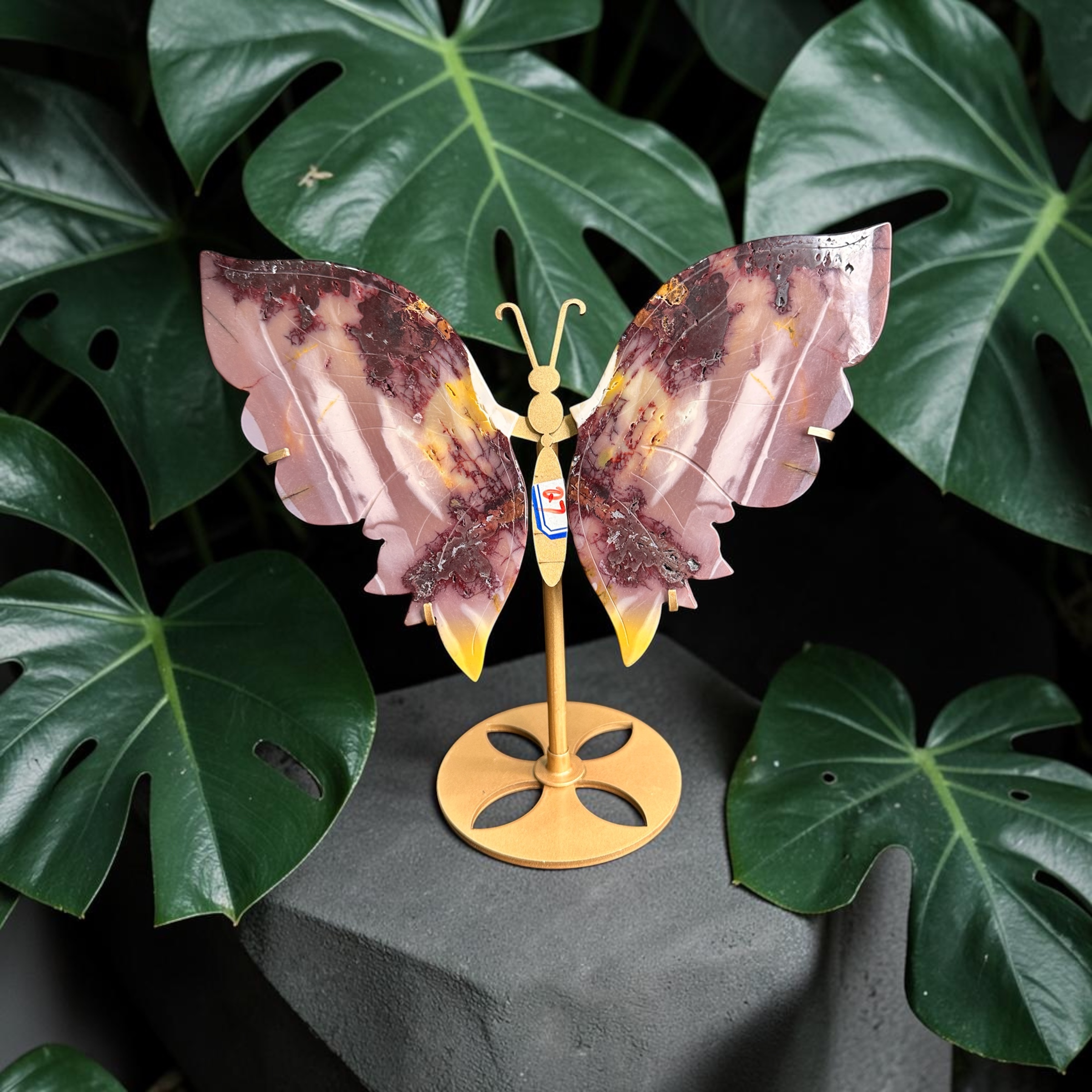Mookaite Wings 