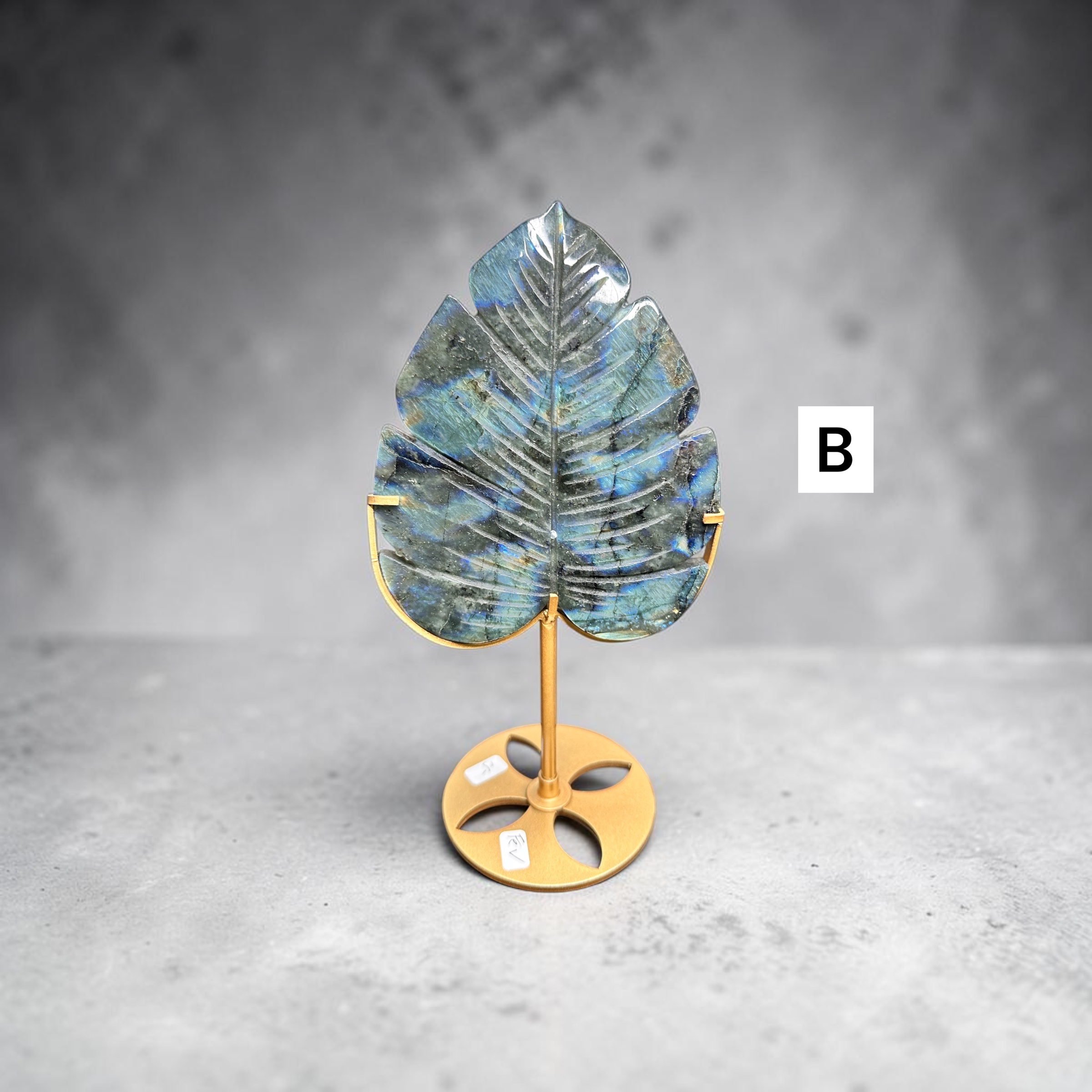 Labradorite Leaves 