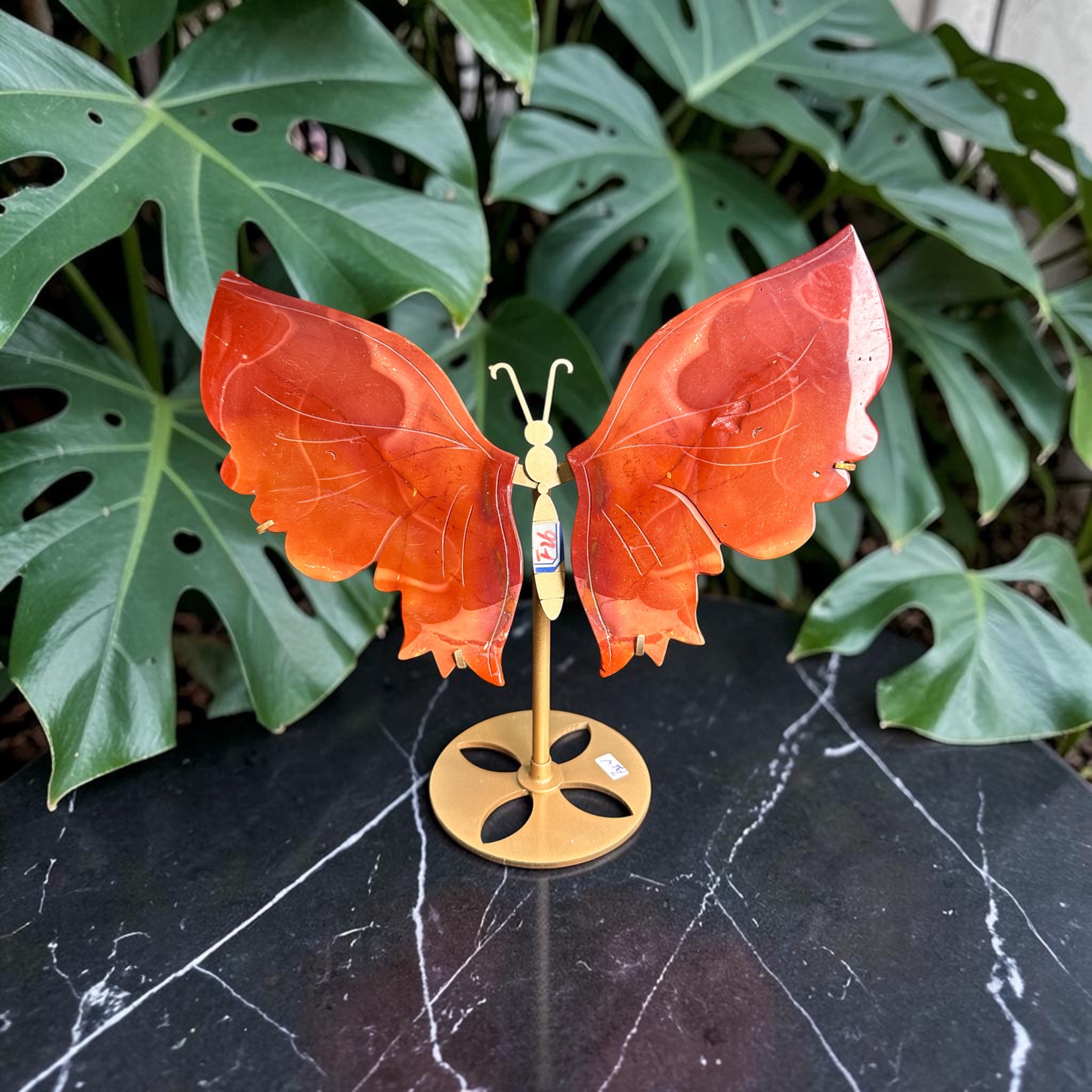 Mookaite Wings 