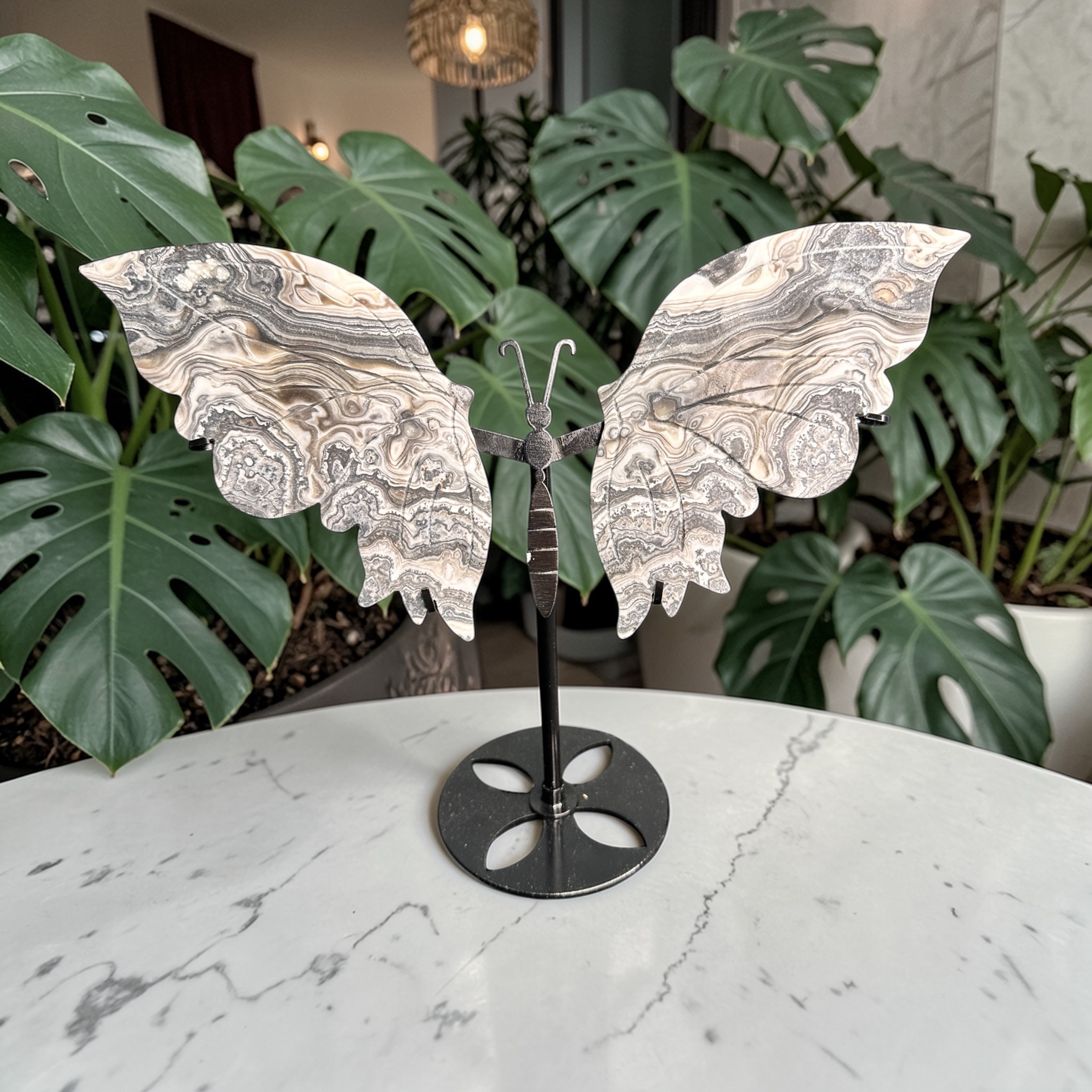 Banded Calcite Wings