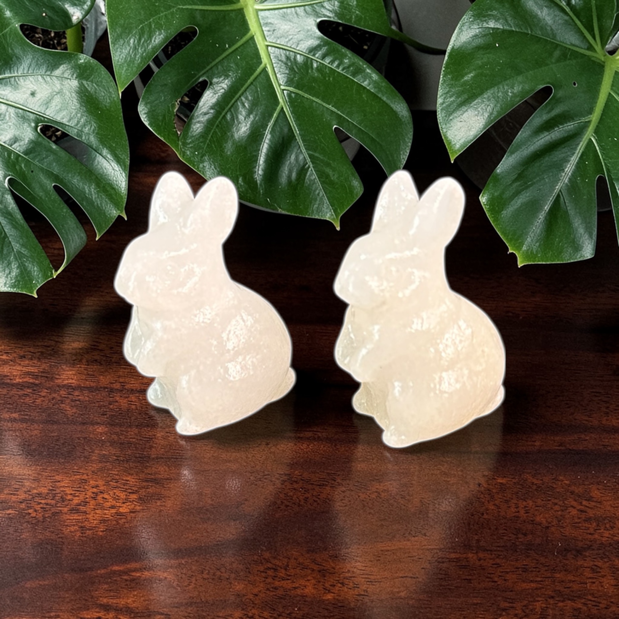 White Jade Bunnies 