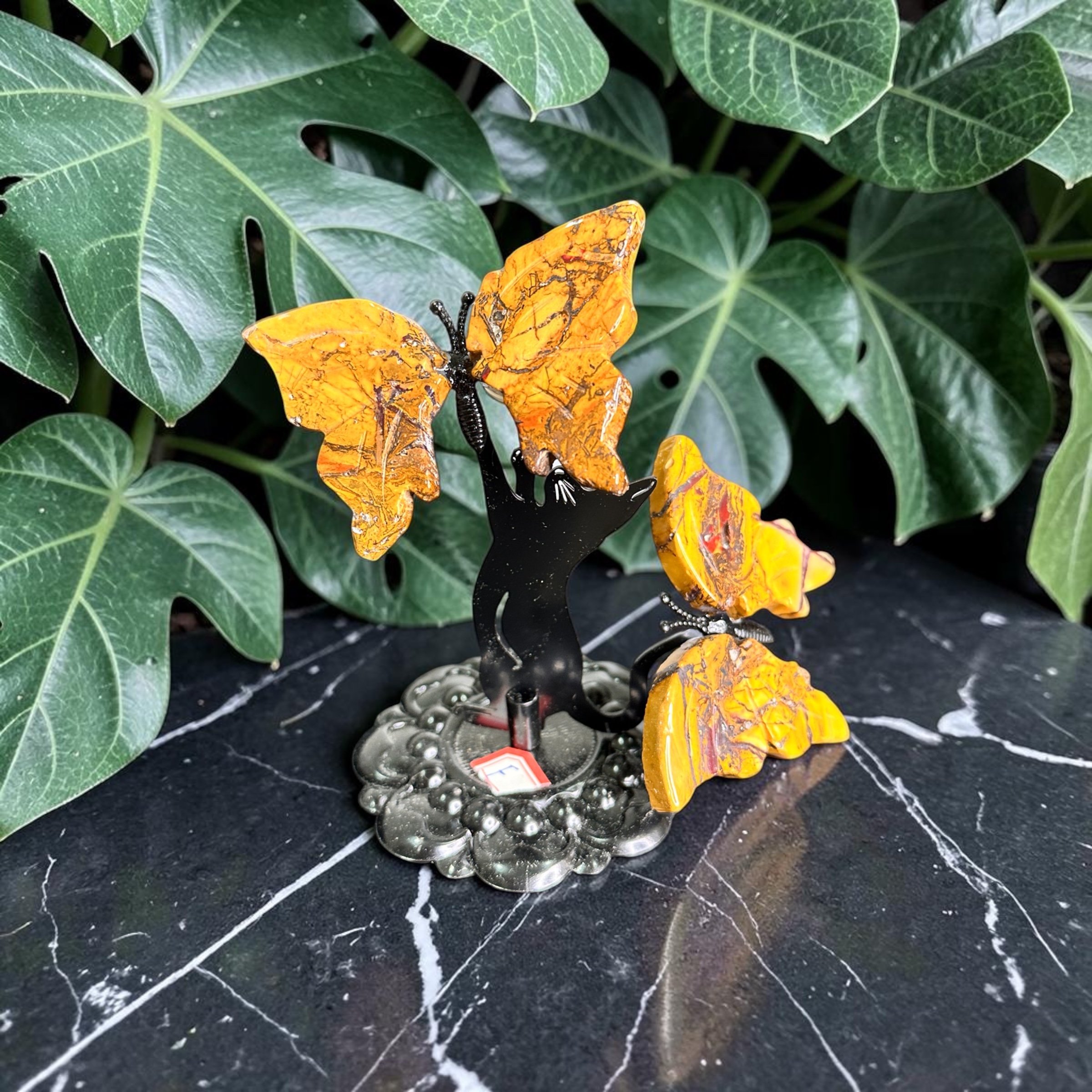 Cat Playing With Butterflies 