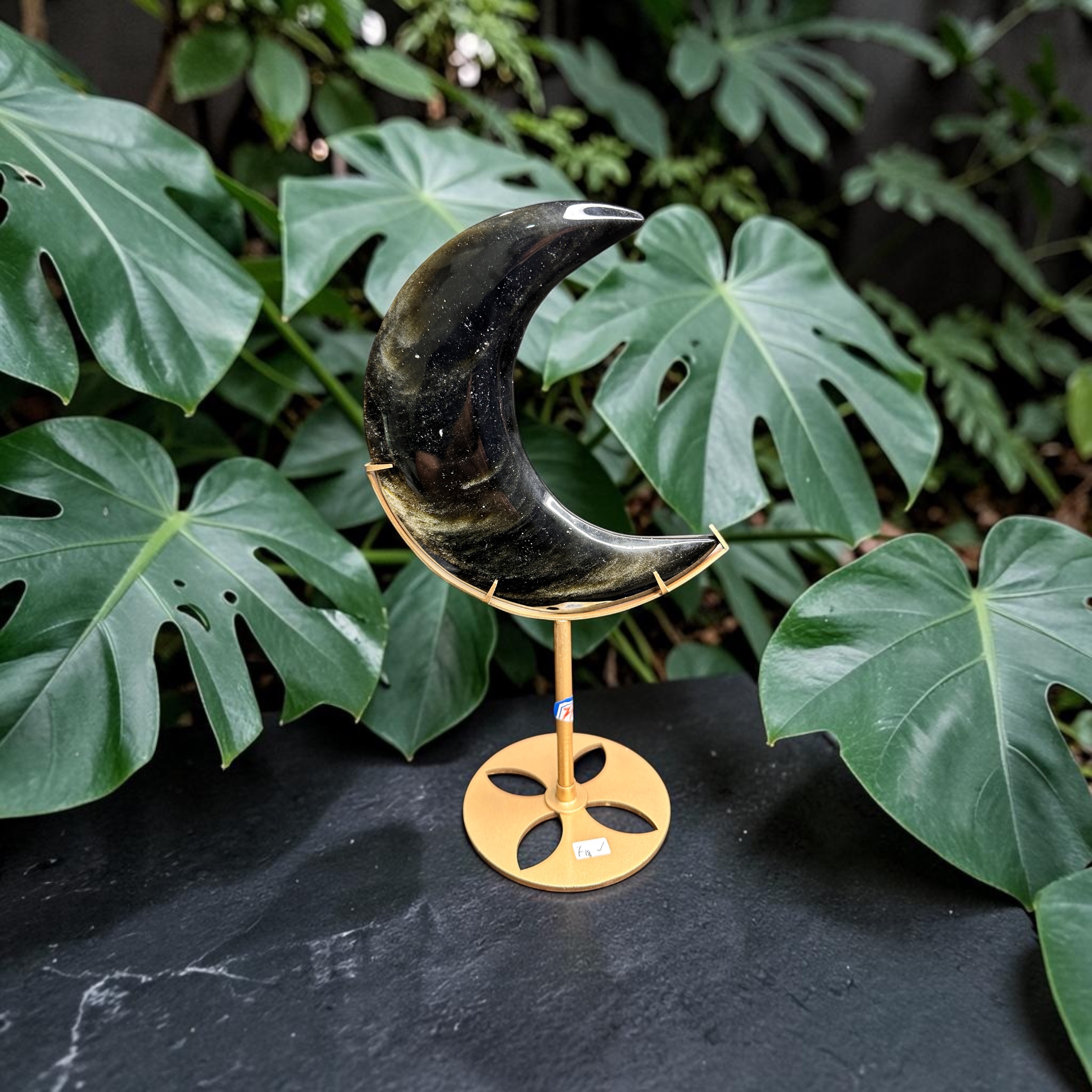 Gold Sheen Obsidian Moon