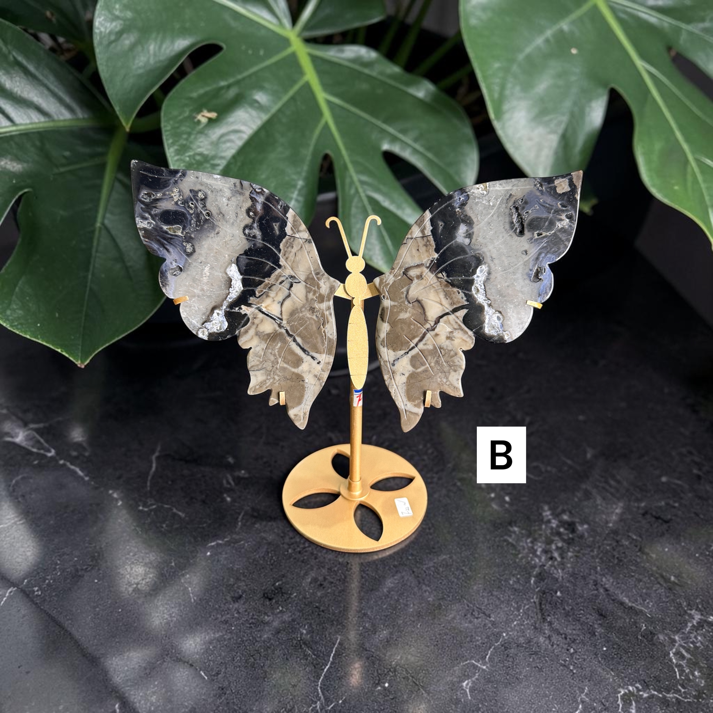 Volcano Agate Wings