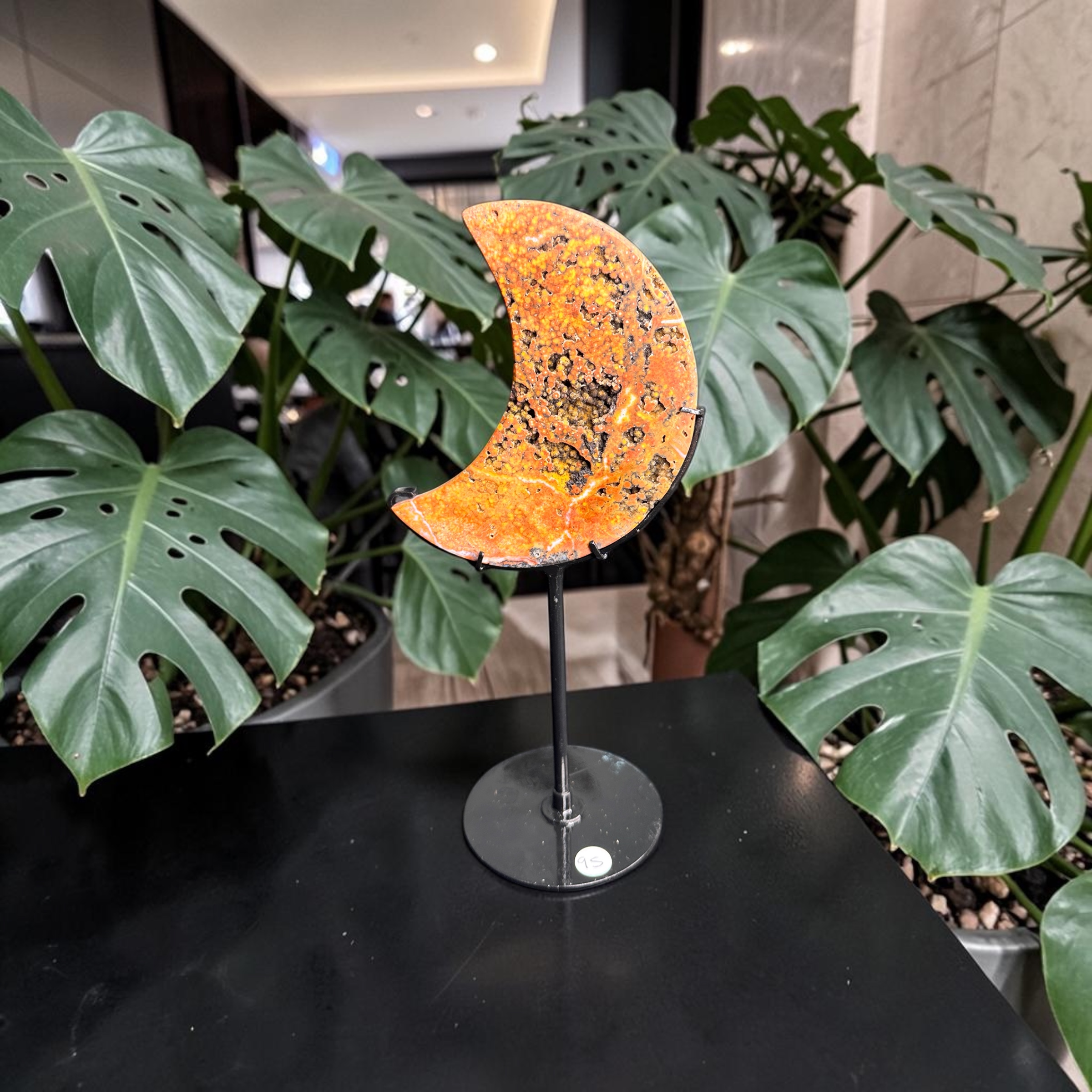 Ocean Jasper Moon