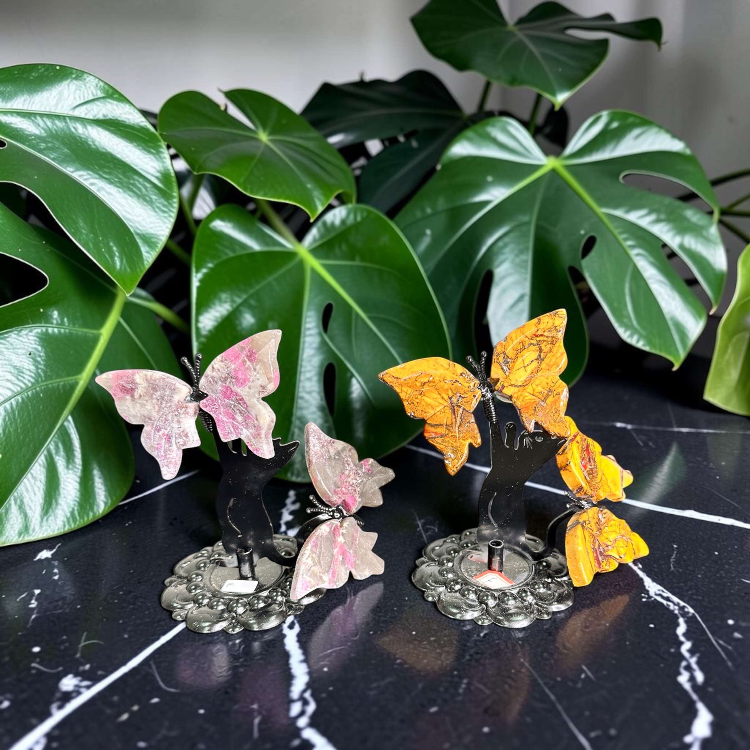 Cat Playing With Butterflies 