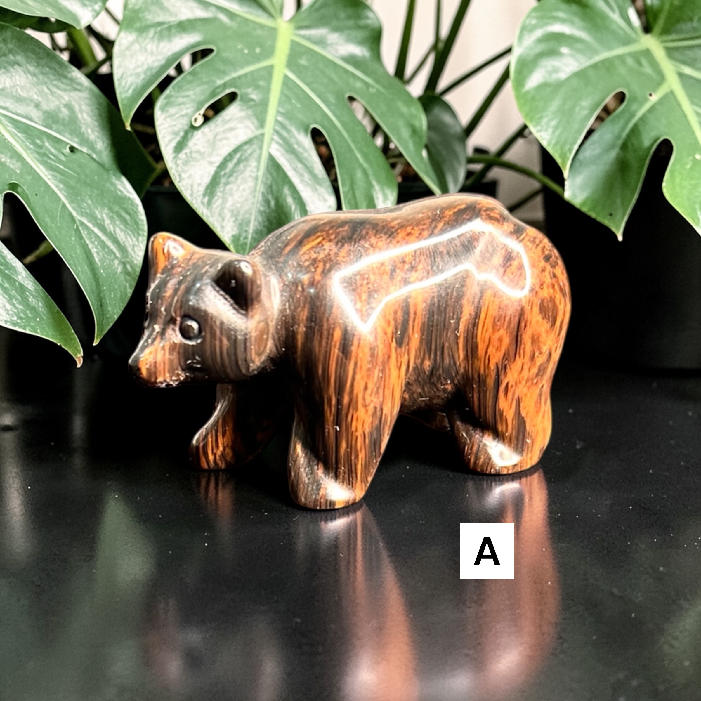 Mahogany Obsidian Bears 