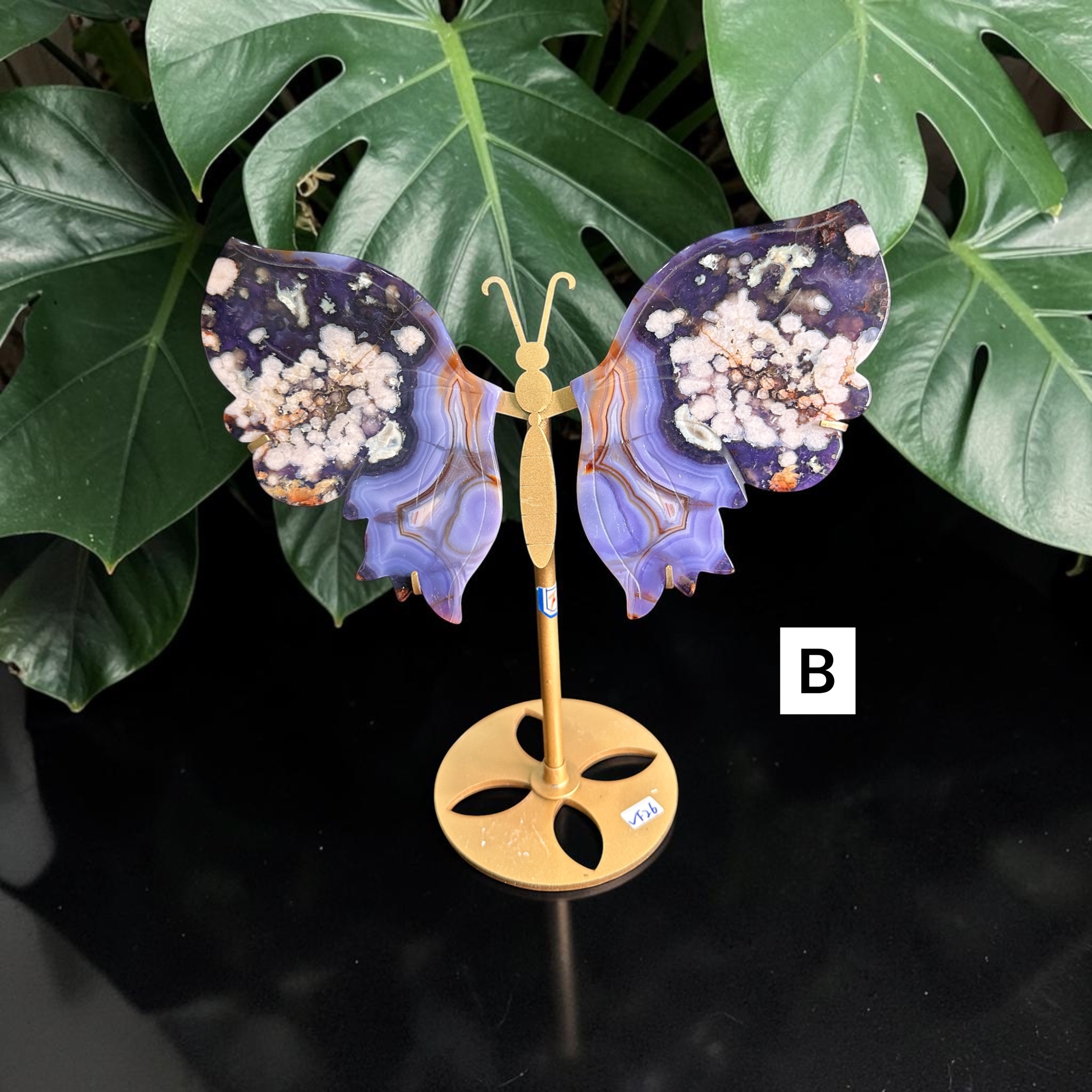 Blue Flower Agate Wings 