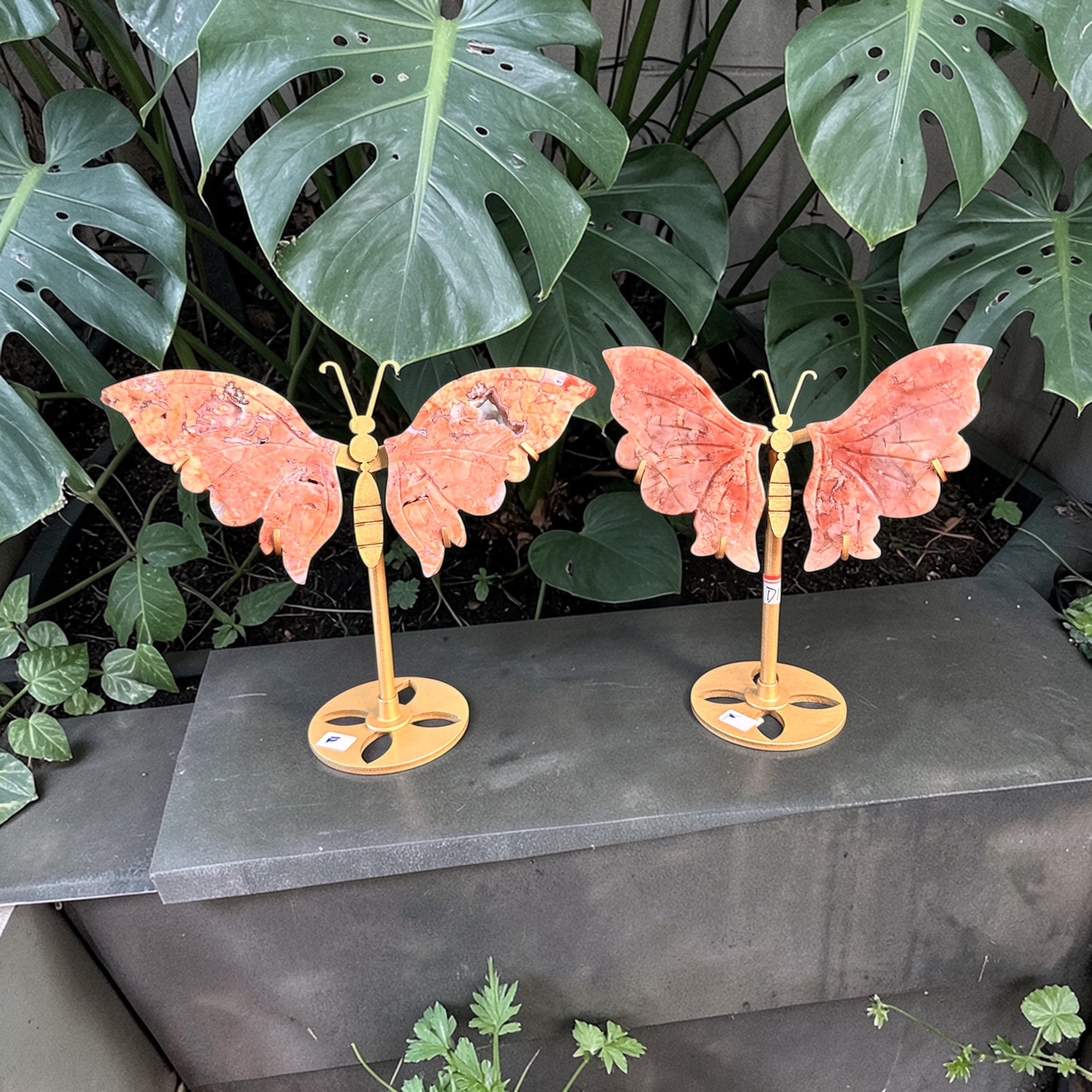 Pink Agate Wings (Small)