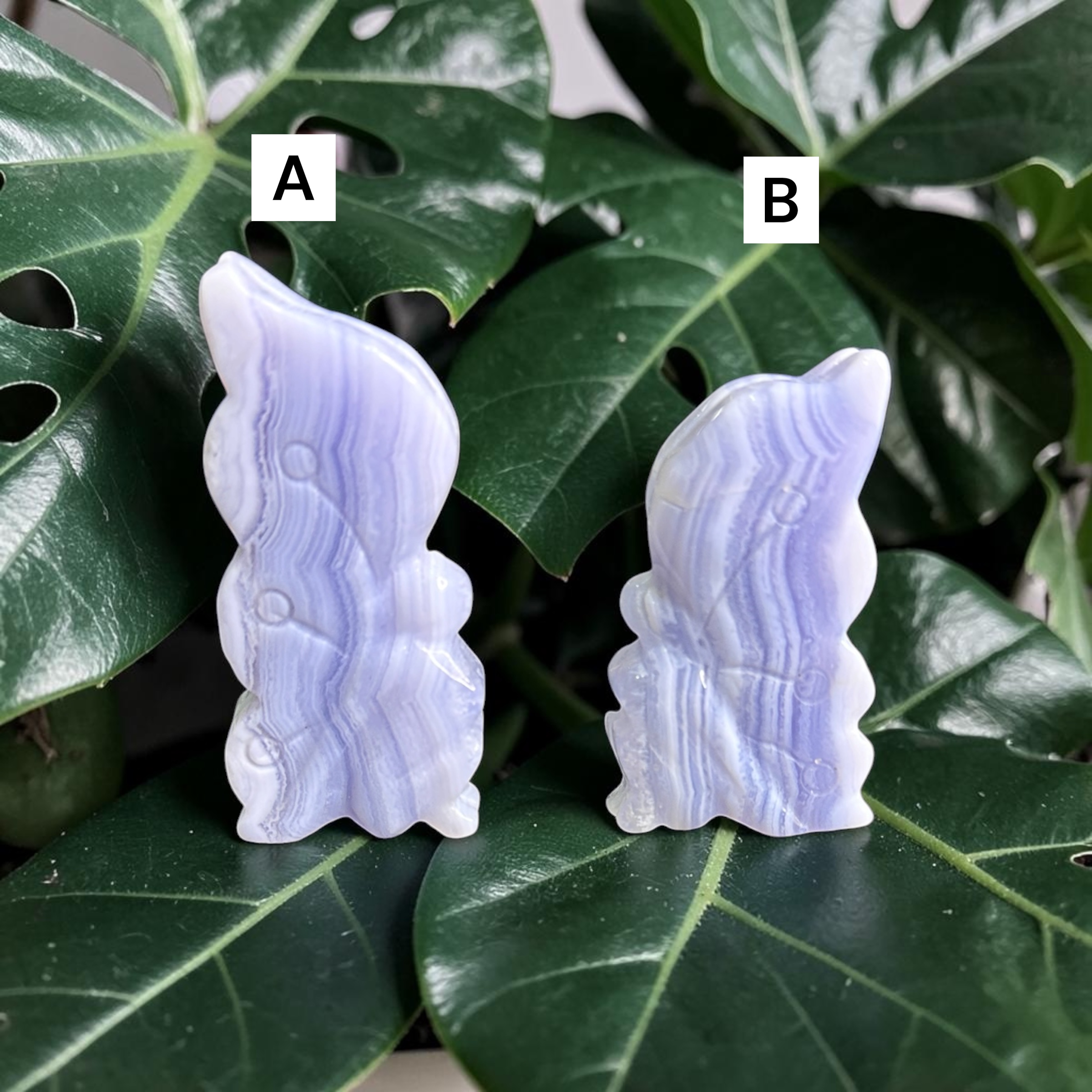 Blue Lace Agate Fairies 