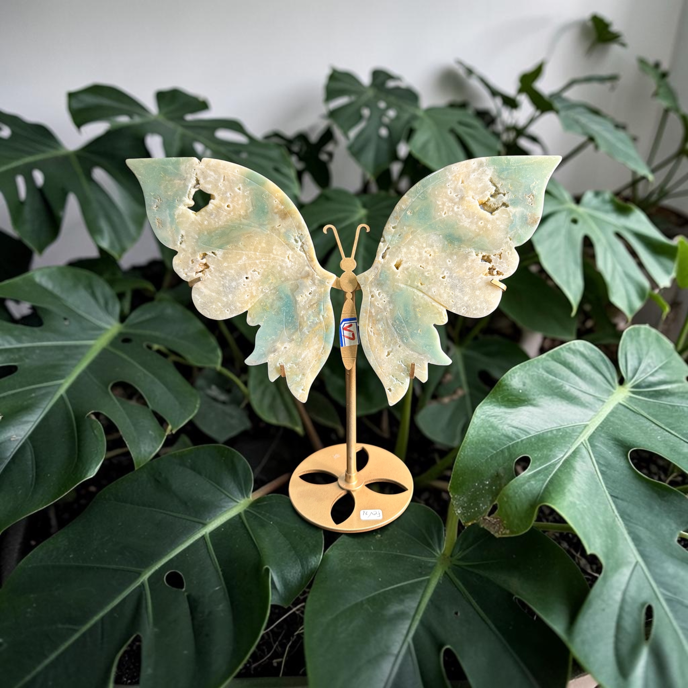 Amazonite Wings 