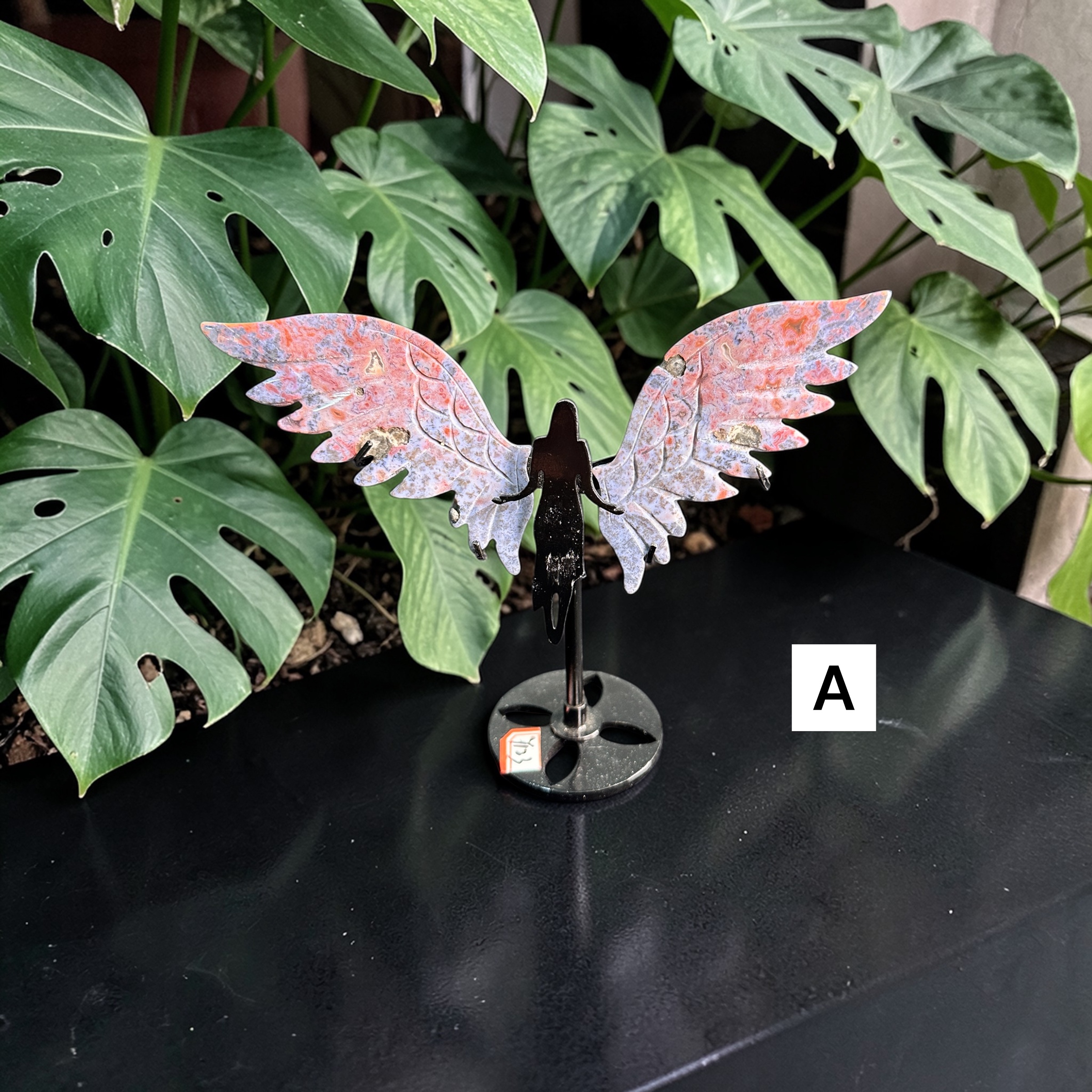 Ocean Jasper Wings ( Small)