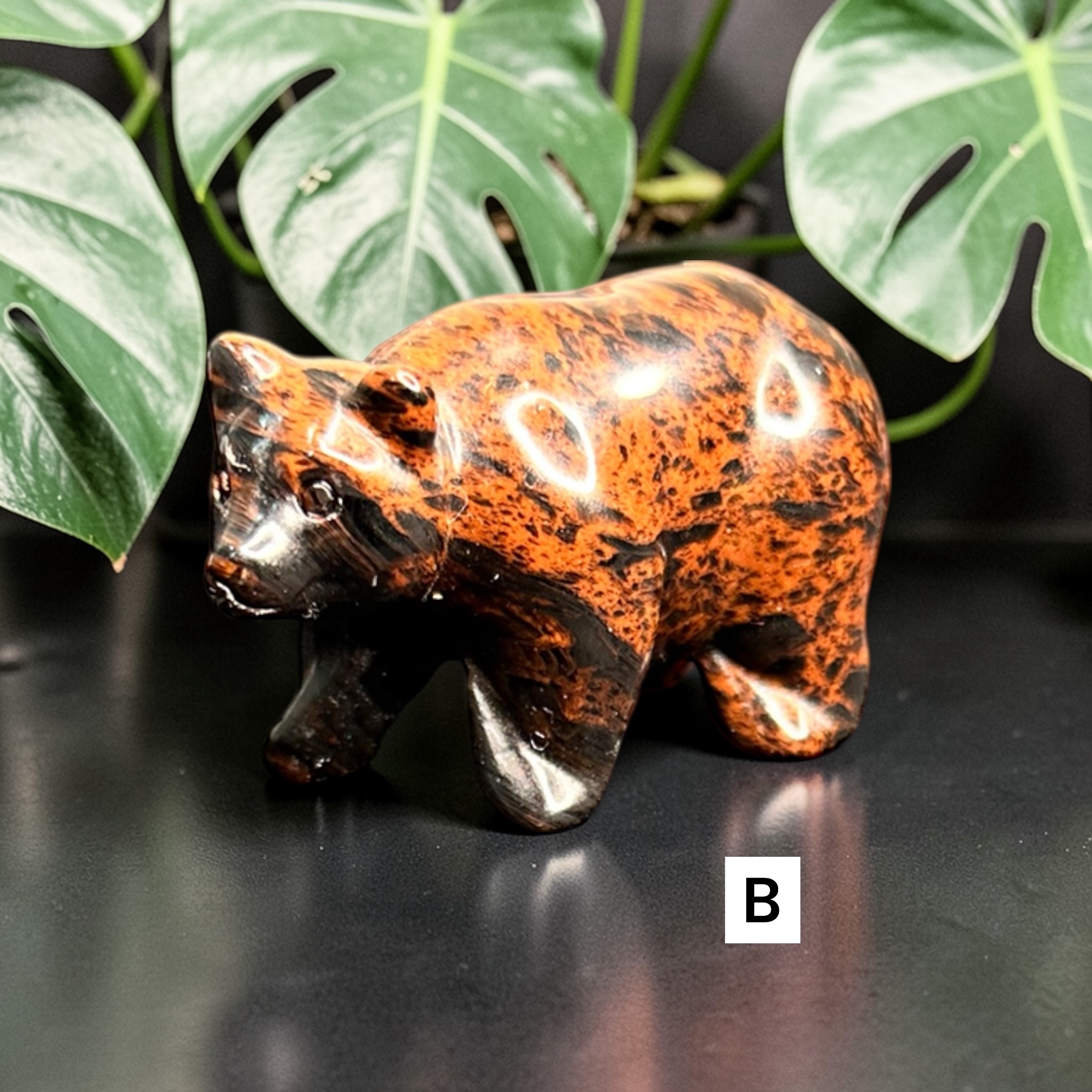 Mahogany Obsidian Bears 
