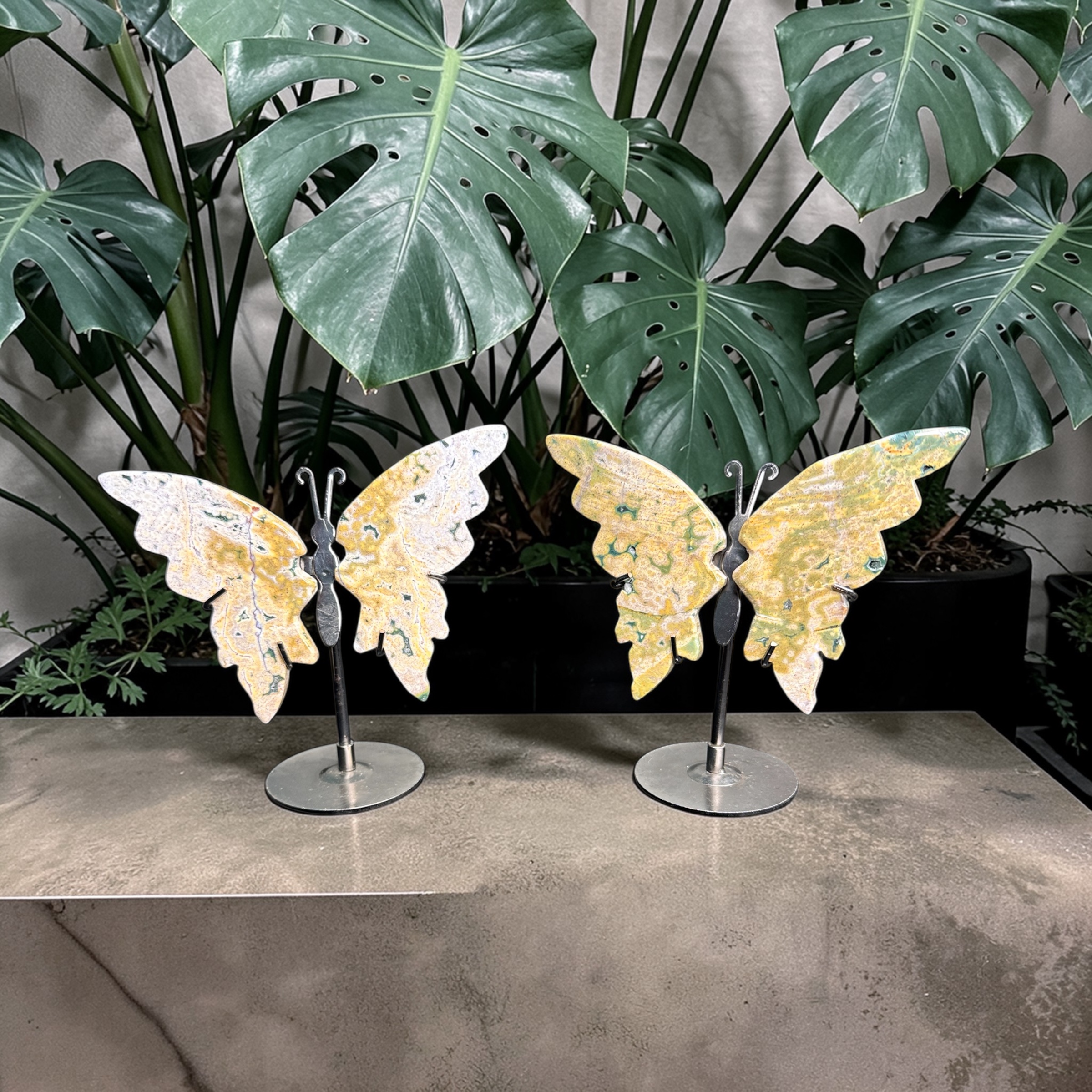 Ocean Jasper Butterfly (Small)