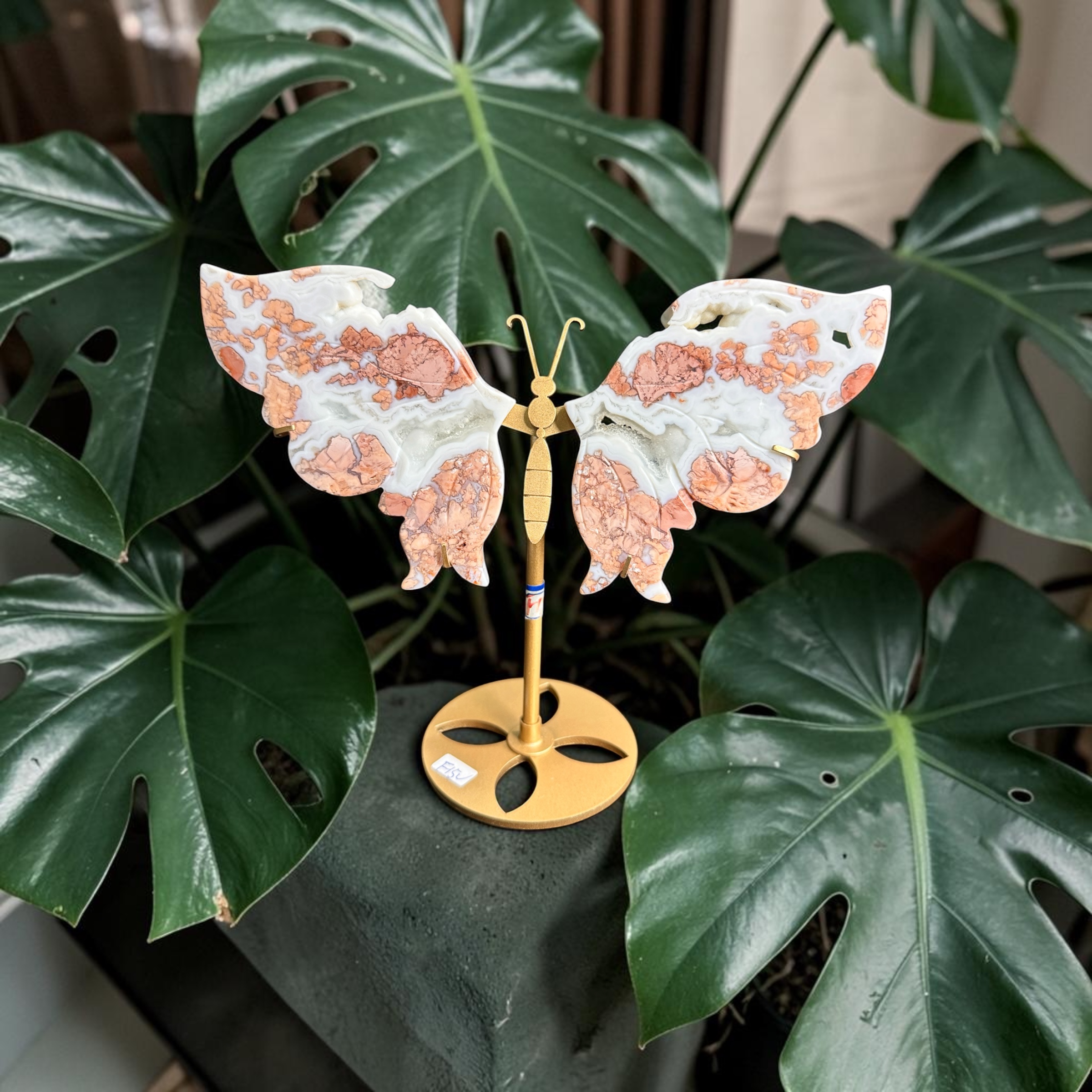 Pink Agate Wings 