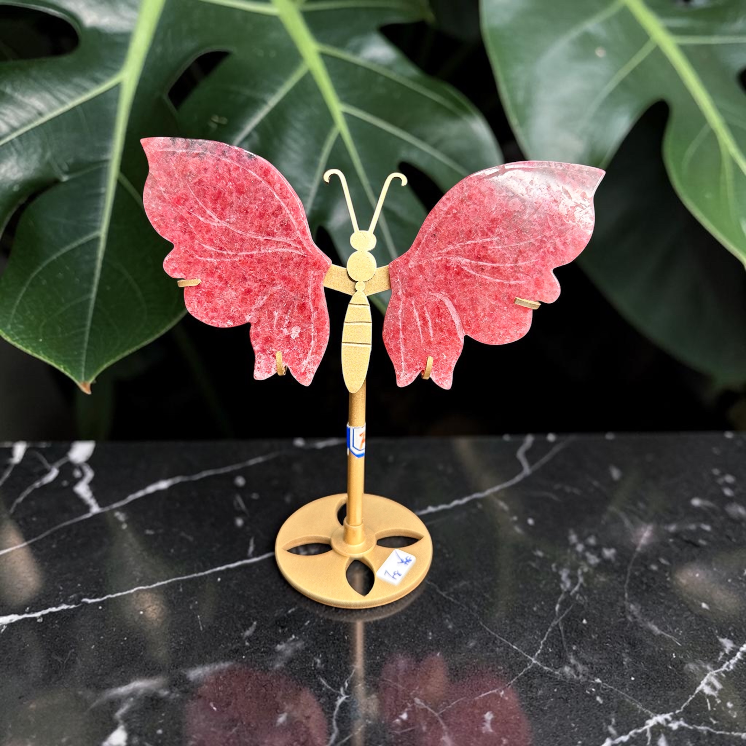 Icy Rhodonite Wings 