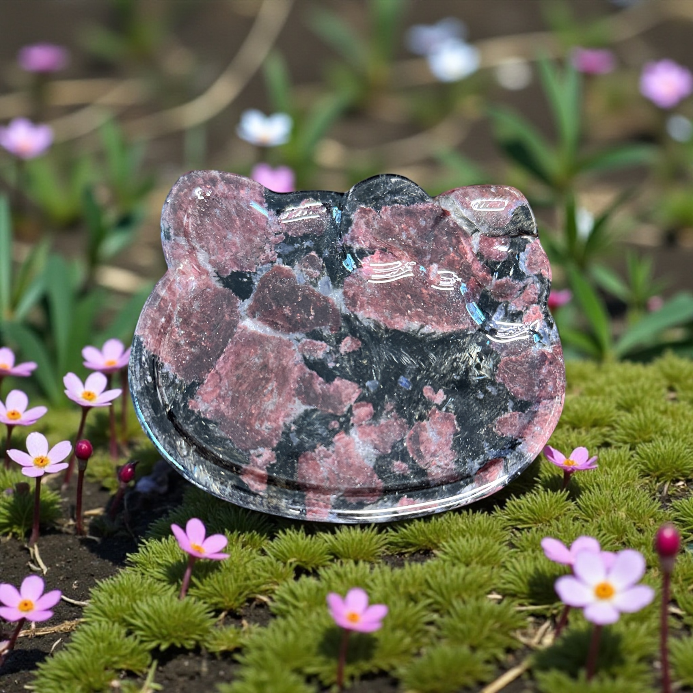 Garnet Hello Kitty Bowl 