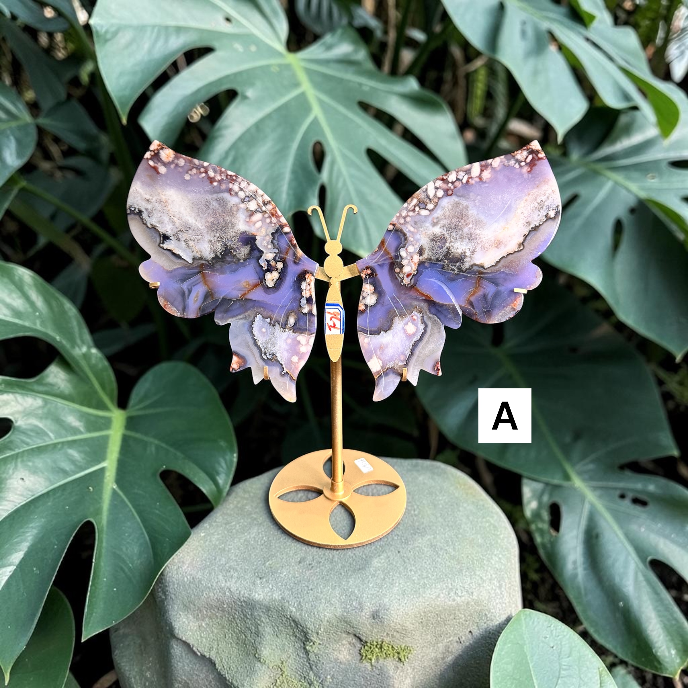 Blue Flower Agate Wings 