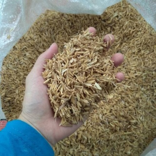 Rice Husk / Sekam Mentah
