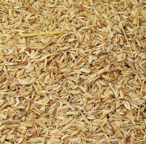 Rice Husk / Sekam Mentah
