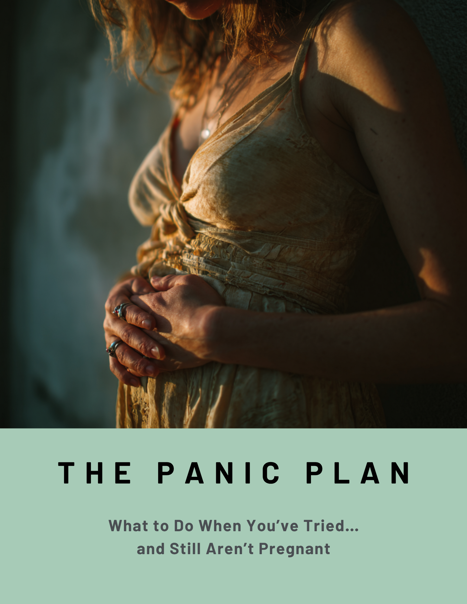 The Panic Plan
