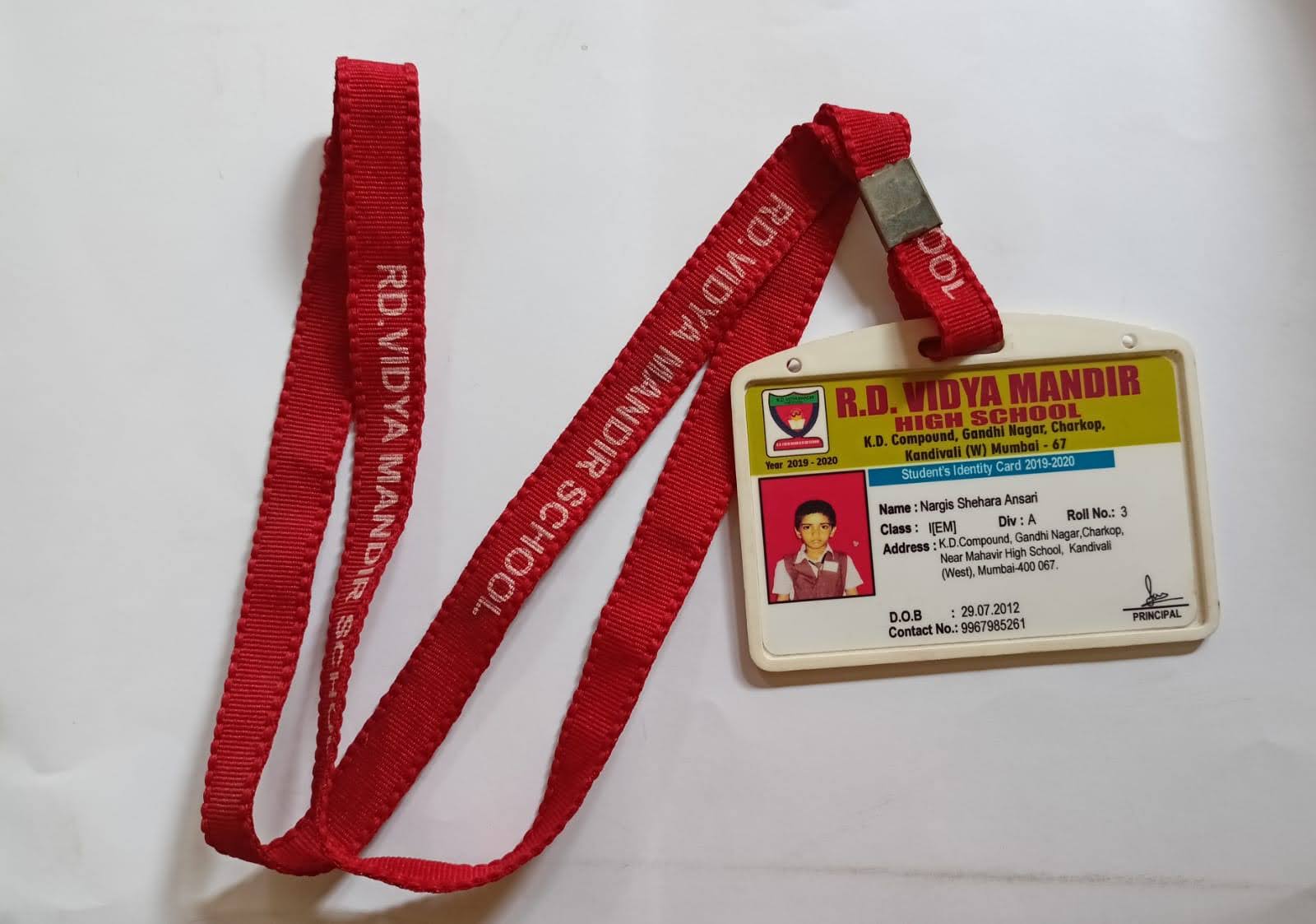 Custom School and Organization ID Cards