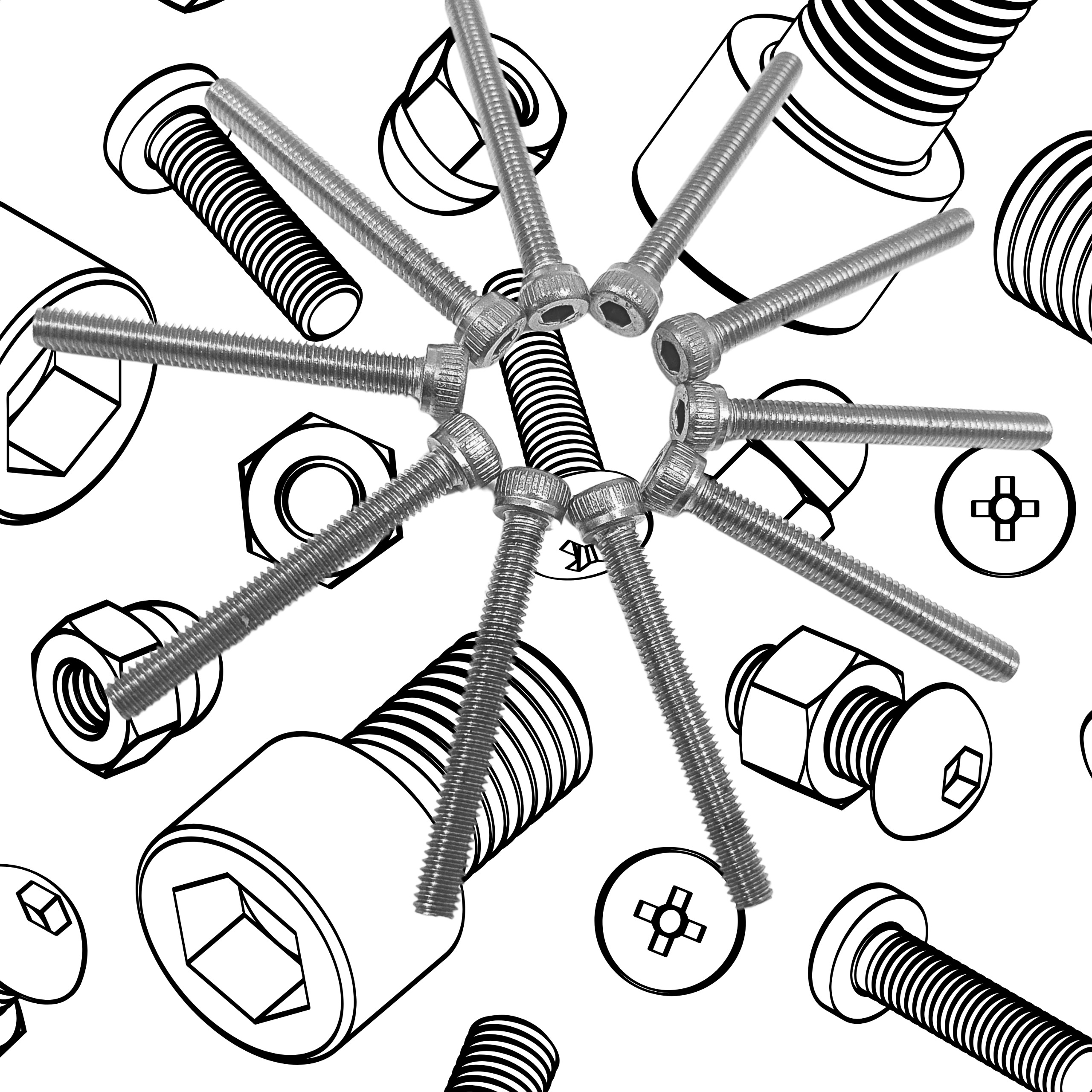 ALLEN BOLT M6 x 12MM LENGTH SOCKET HEAD STAINLESS STEEL 304  