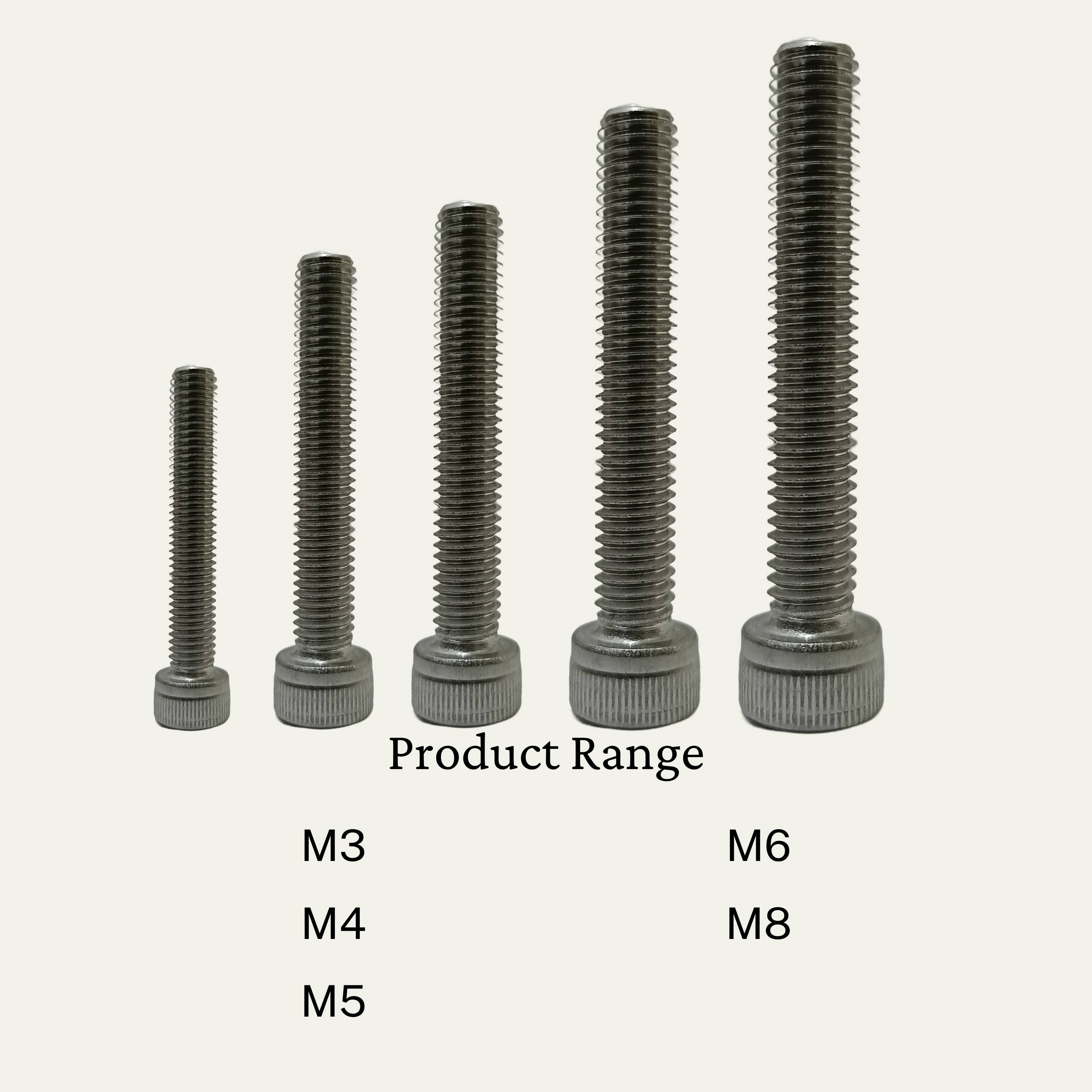 ALLEN BOLT M5X20MM LENGTH SOCKET HEAD STAINLESS STEEL 304  