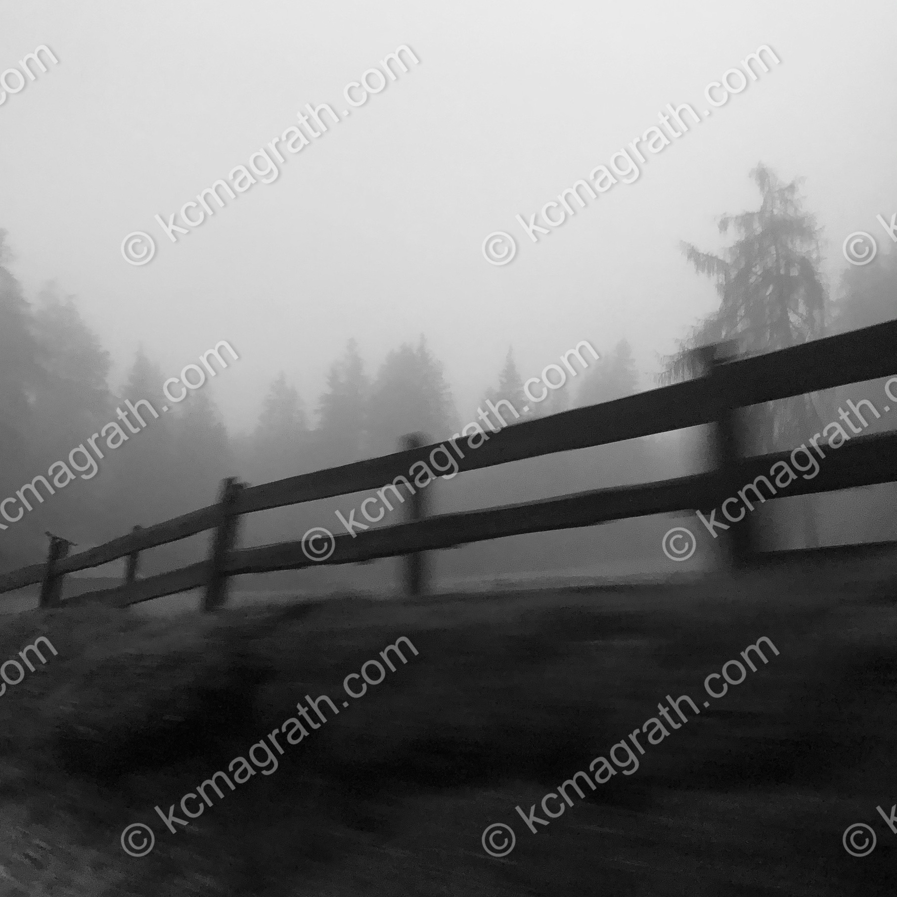 Foggy Tyrol Scene with Wooden Gate and Distant Trees, B&W, Austria