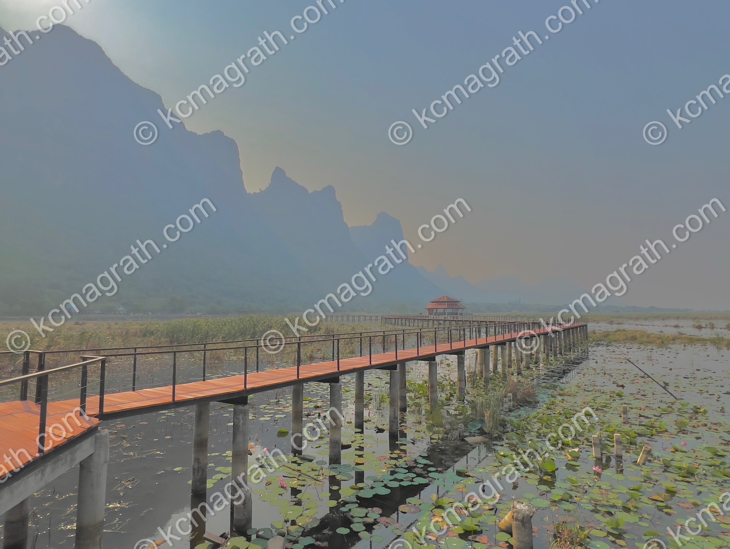 Khao Sam Roi Yot National Park Foot Bridge Over Lotuses, Stunning Morning Light, Thailand