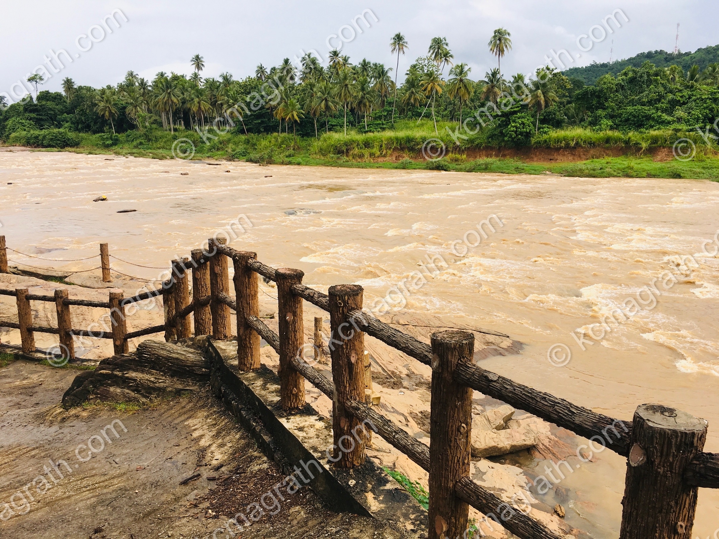 Pinawalla Elephant Bathing Site Wooden Fence, Sri Lanka