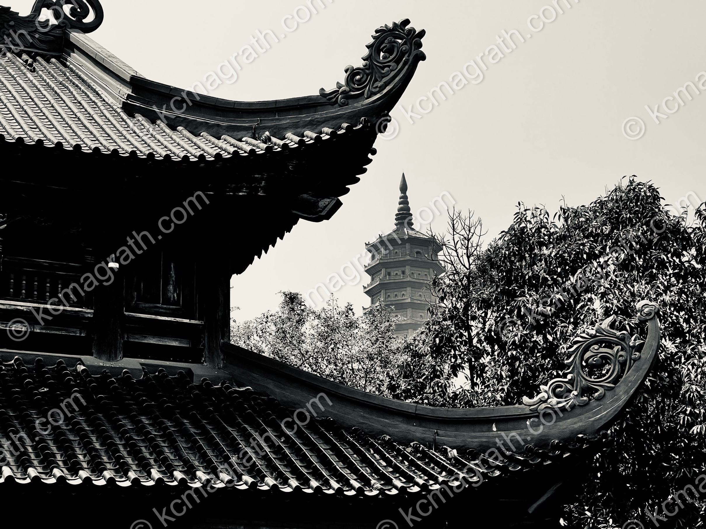 Ninh Binh's Bai Dinh Buddhist Temple Pagoda, B&W, Vietnam