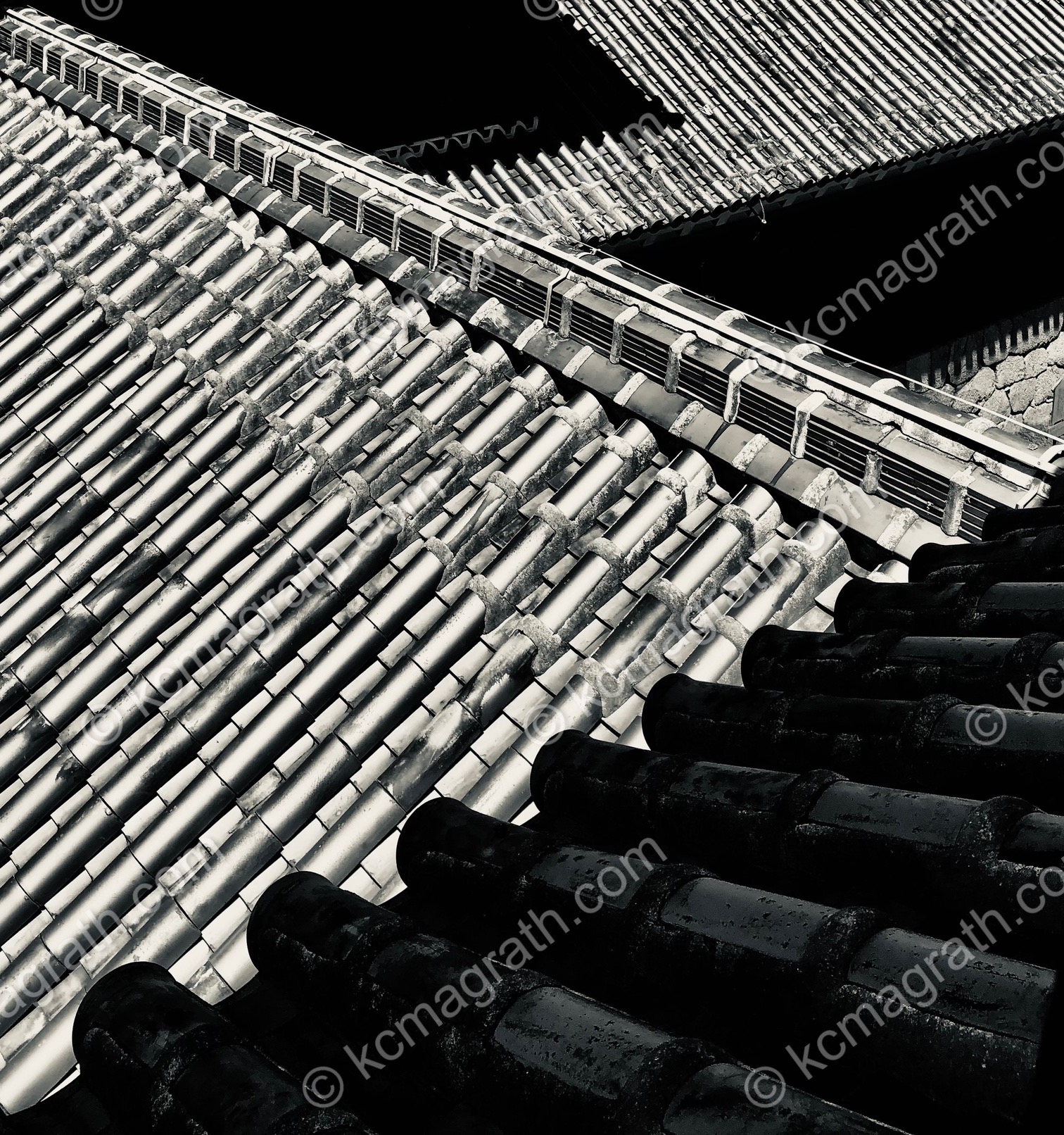Matsuyama Castle Grounds Buildings' Rooftops, Abstract, B&W, Japan