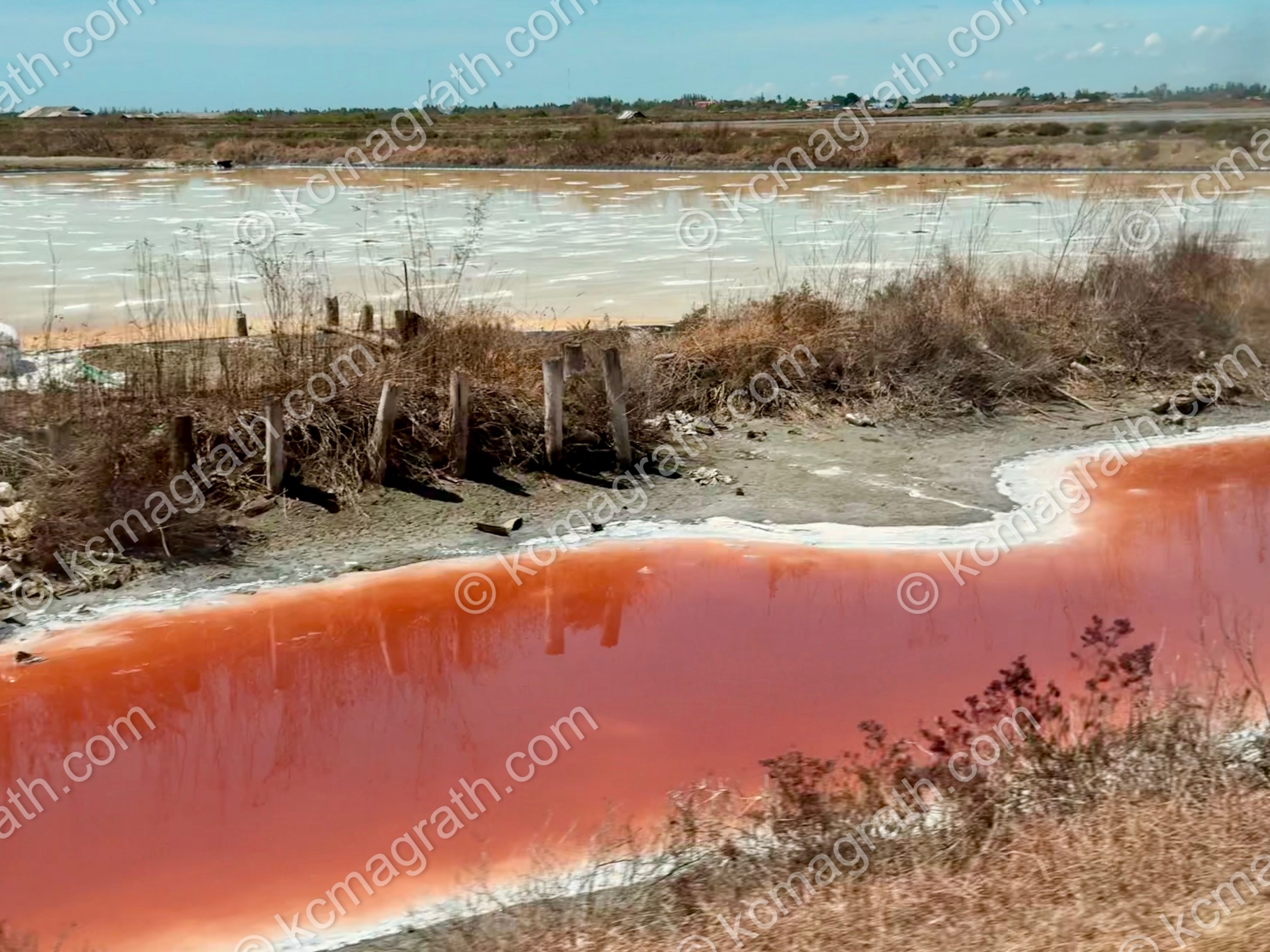 Bang Khun Sai's Salt Flat Territory, Thailand