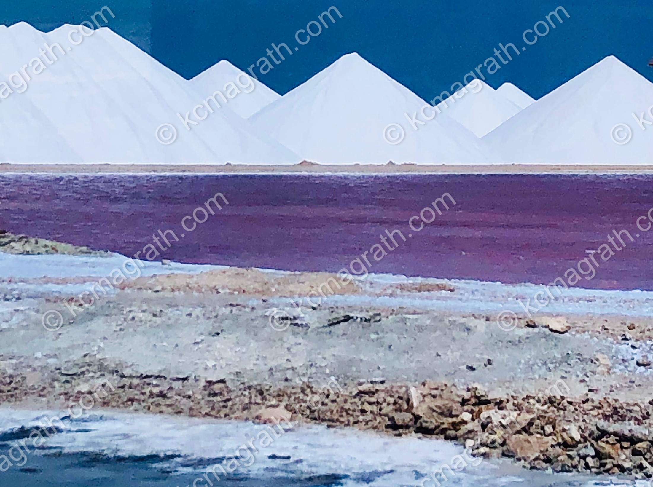 Bonaire's Salt Flats