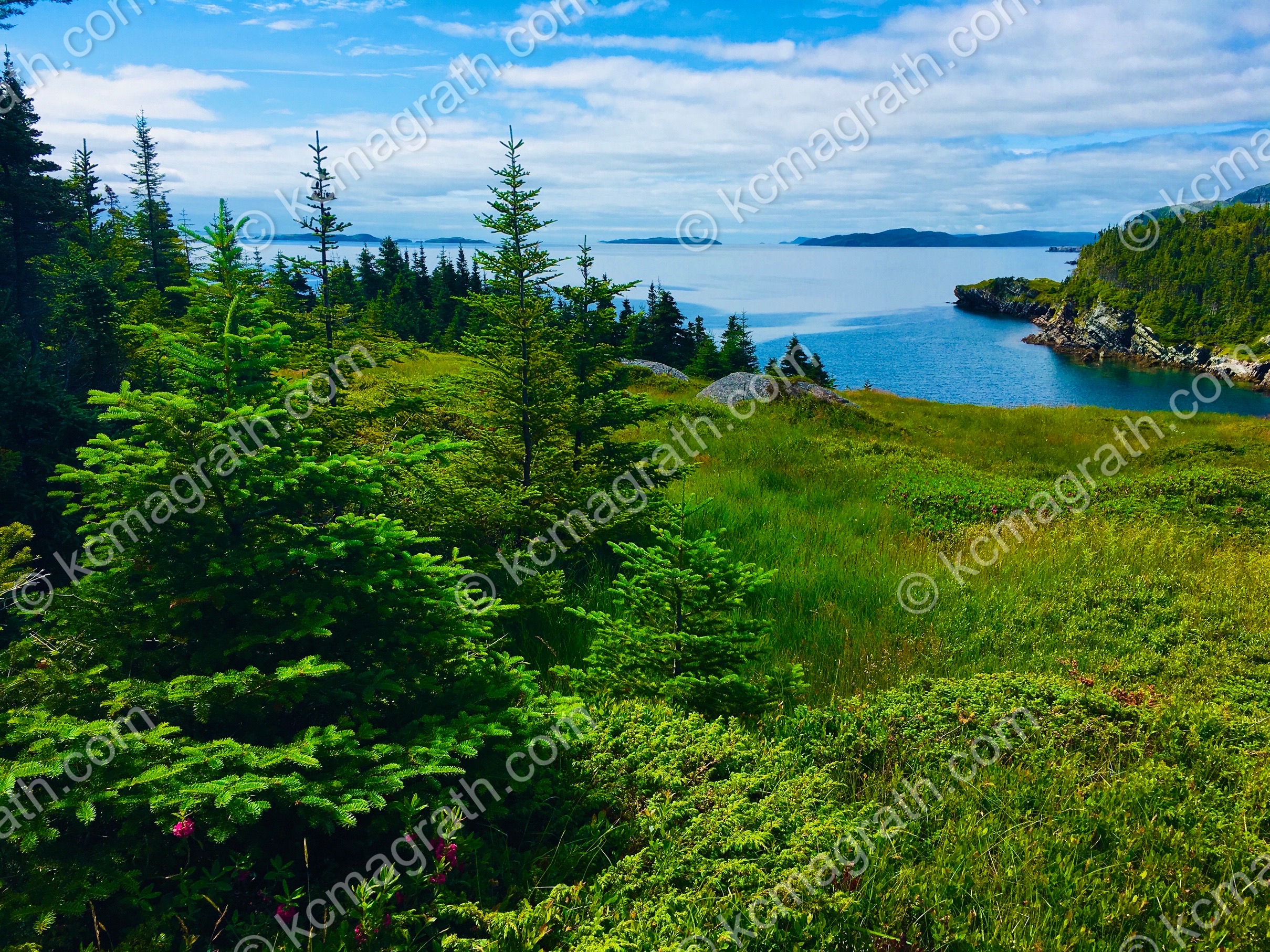 Trinity's Skerwink Trail Area Vista 1, Newfoundland