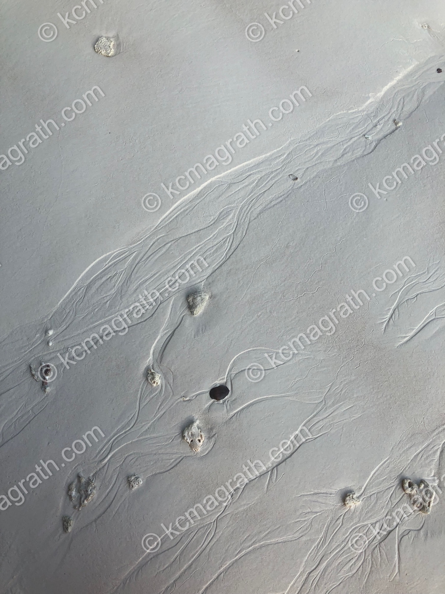 Phi Phi Island's Monkey Beach 1 with Burrow Traces from Marine Critters at Low Tide, B&W, Abstract, Thailand