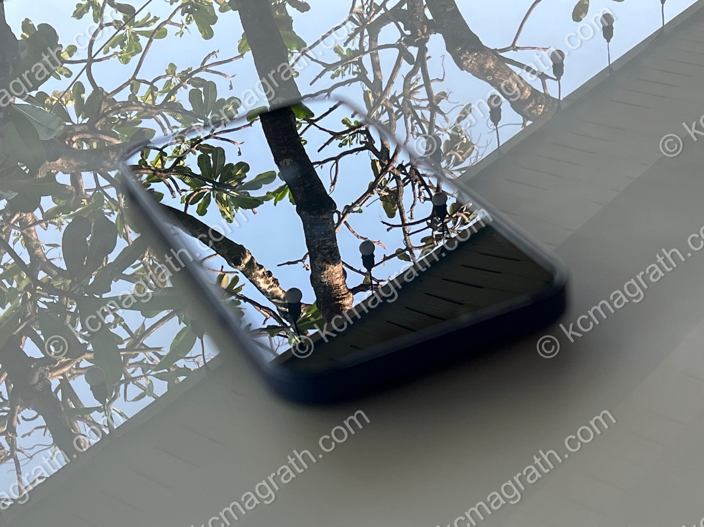 Reflections of Nature, Glossy Table and Mobile Phone, Thailand