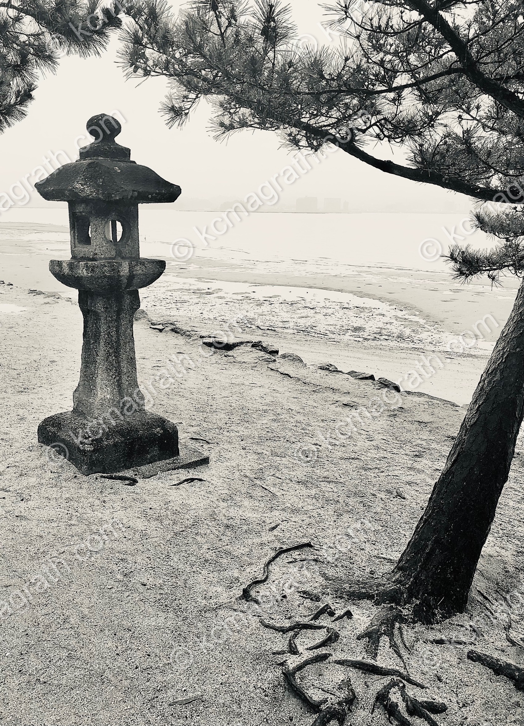 Miyajima's Traditional Stone Lantern (Toro) With Tree, B&W, Japan