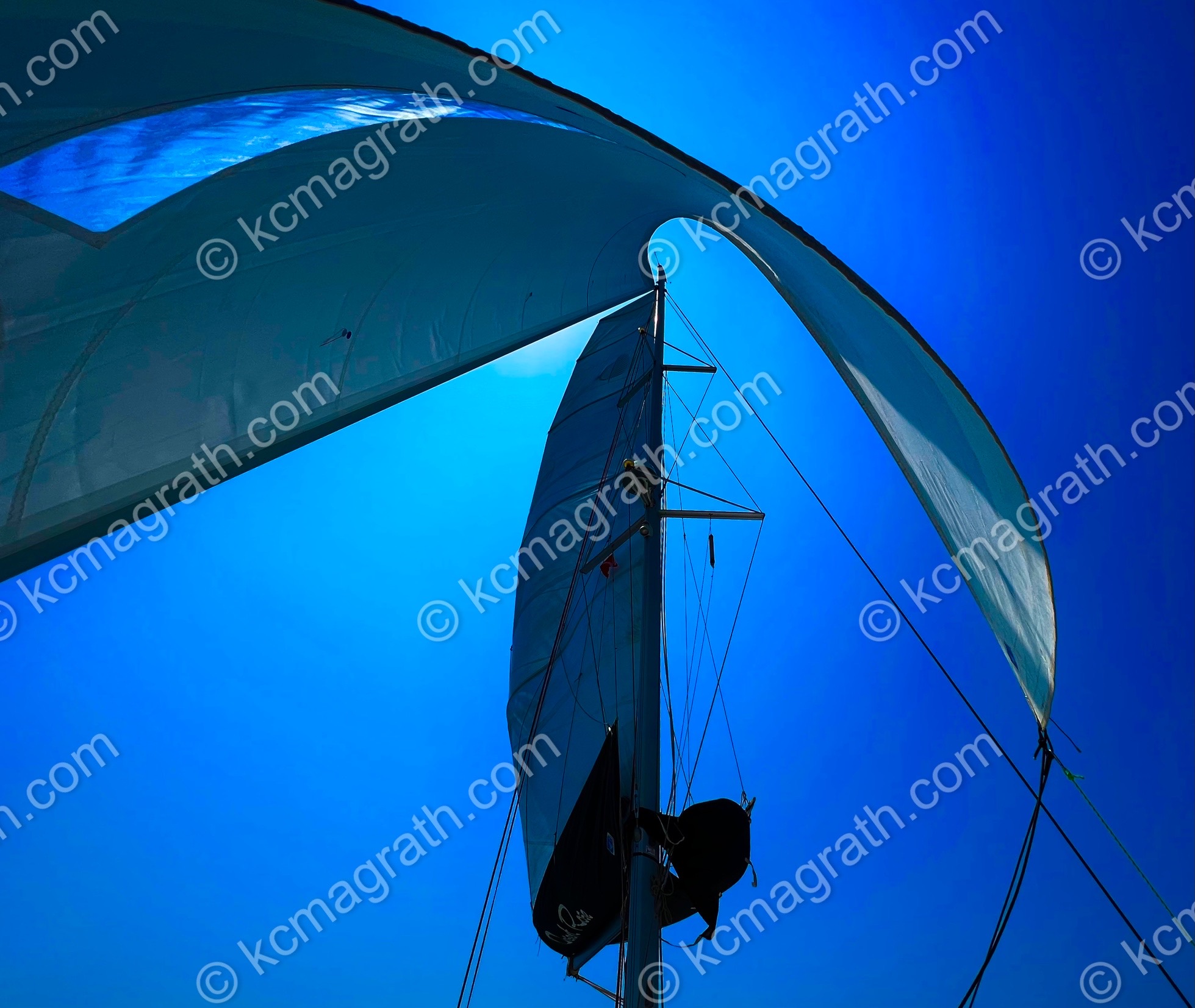 S/V Desert Rose, Main and Genoa Sails Against Brilliant Blue Sky, Unique Angle from Below