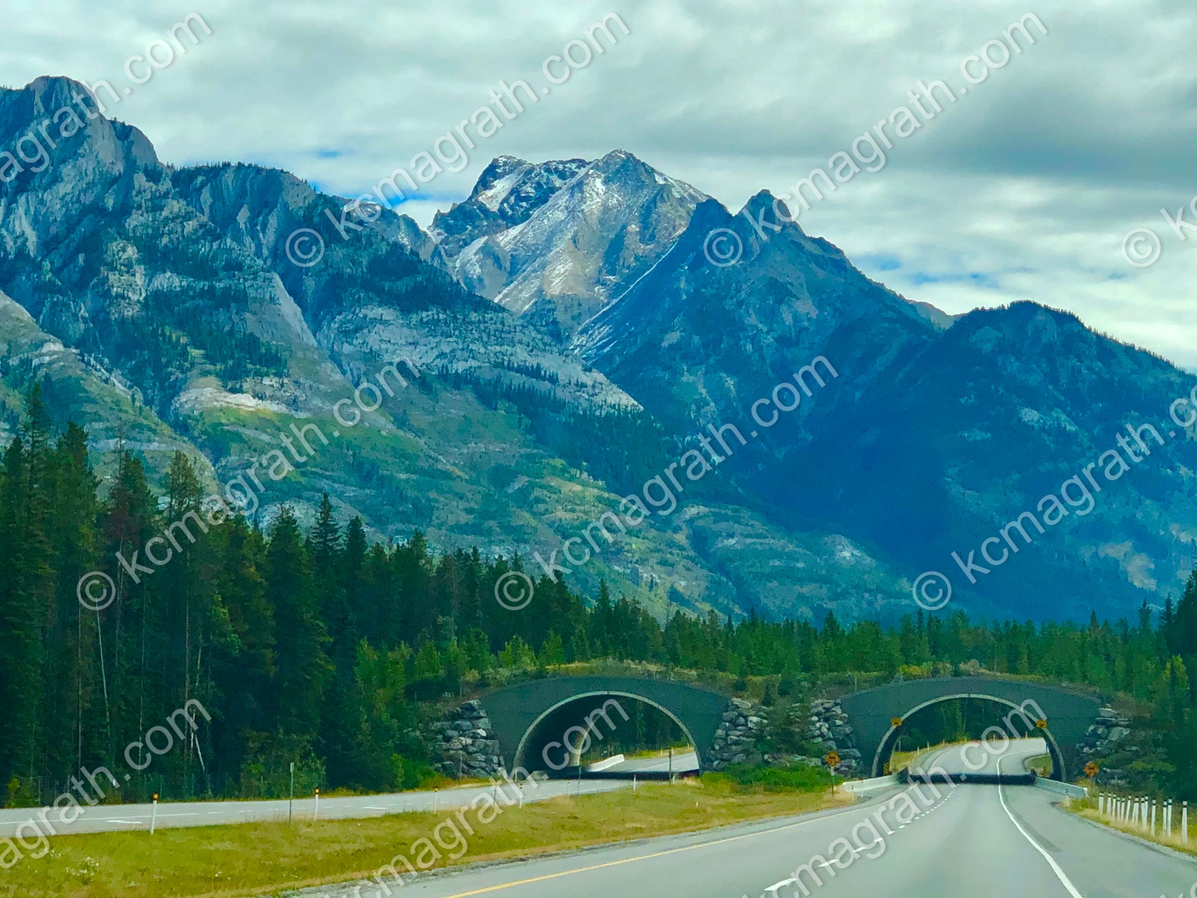 Banff's Wildlife Overpasses, Alberta, Canada