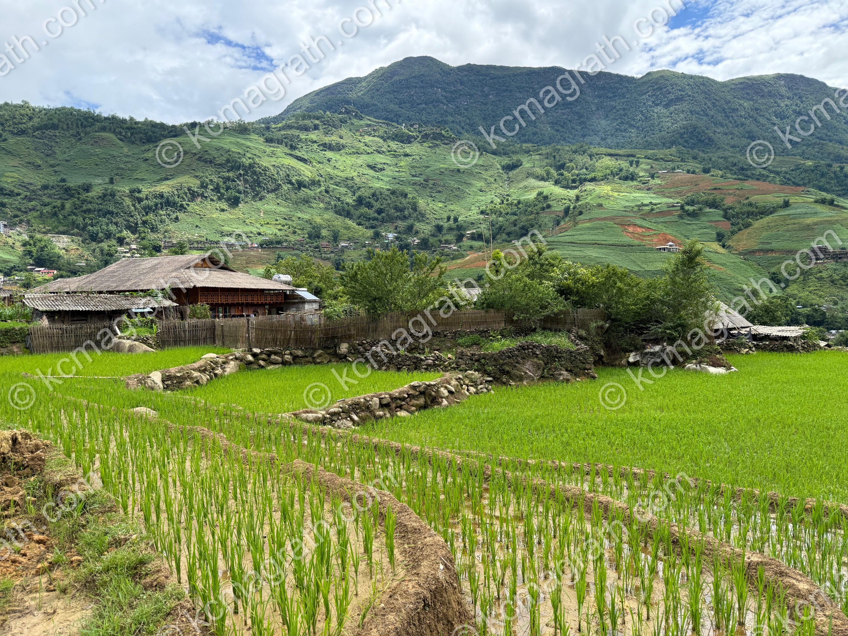 Sa Pa's Hoang Lien Terraced Rice Paddies 2,  Vietnam