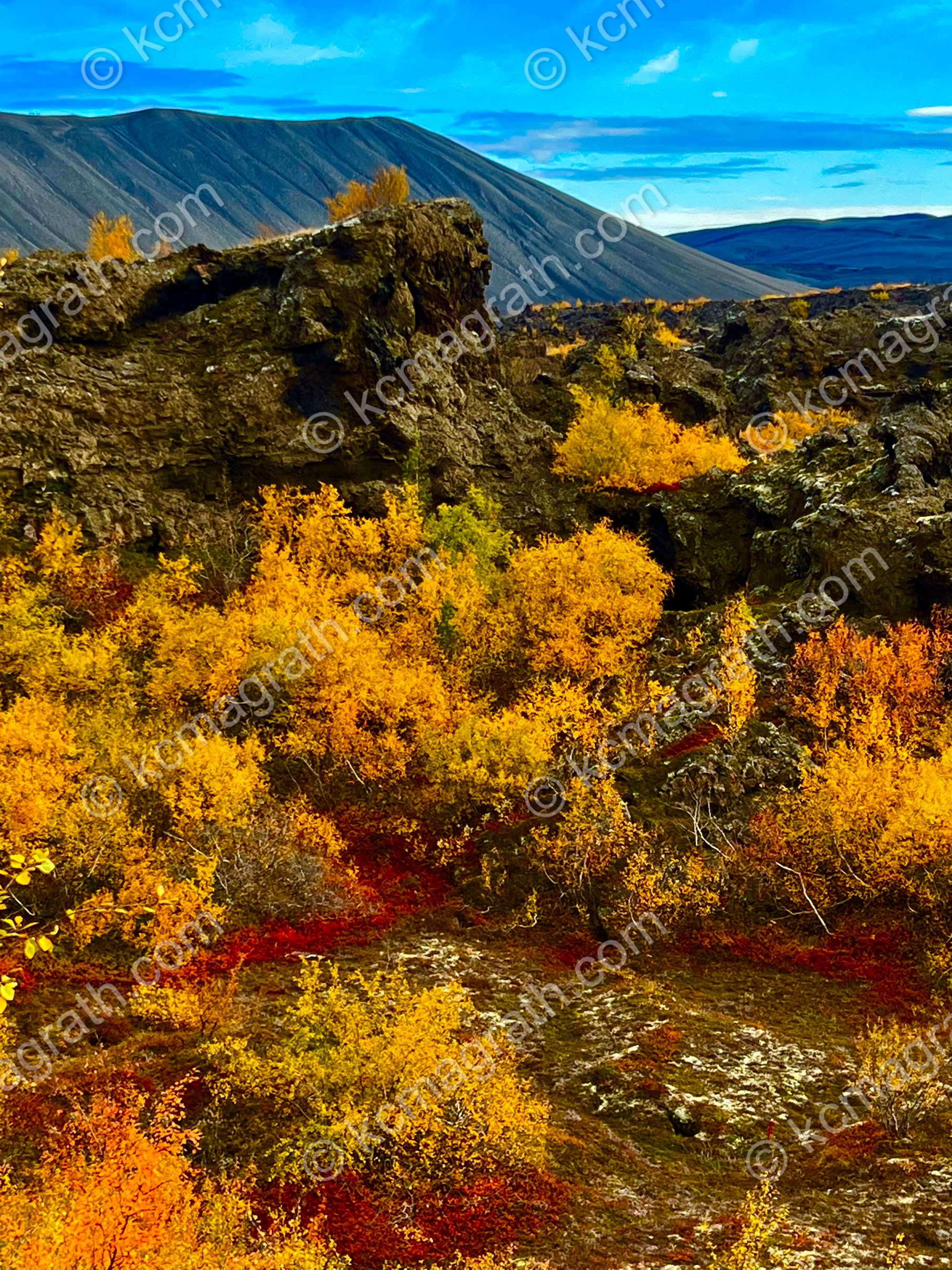 Skutustadahreppur's Rocky Landscape in Vivid Fall Colors 2, Iceland
